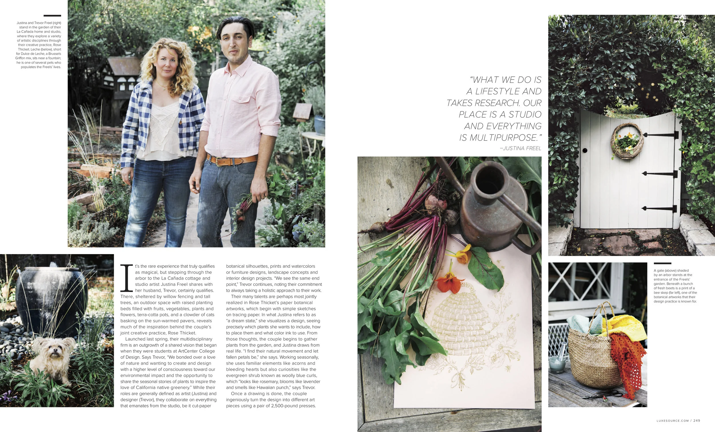 2 Rose Thicket_Maile Pingel.jpg