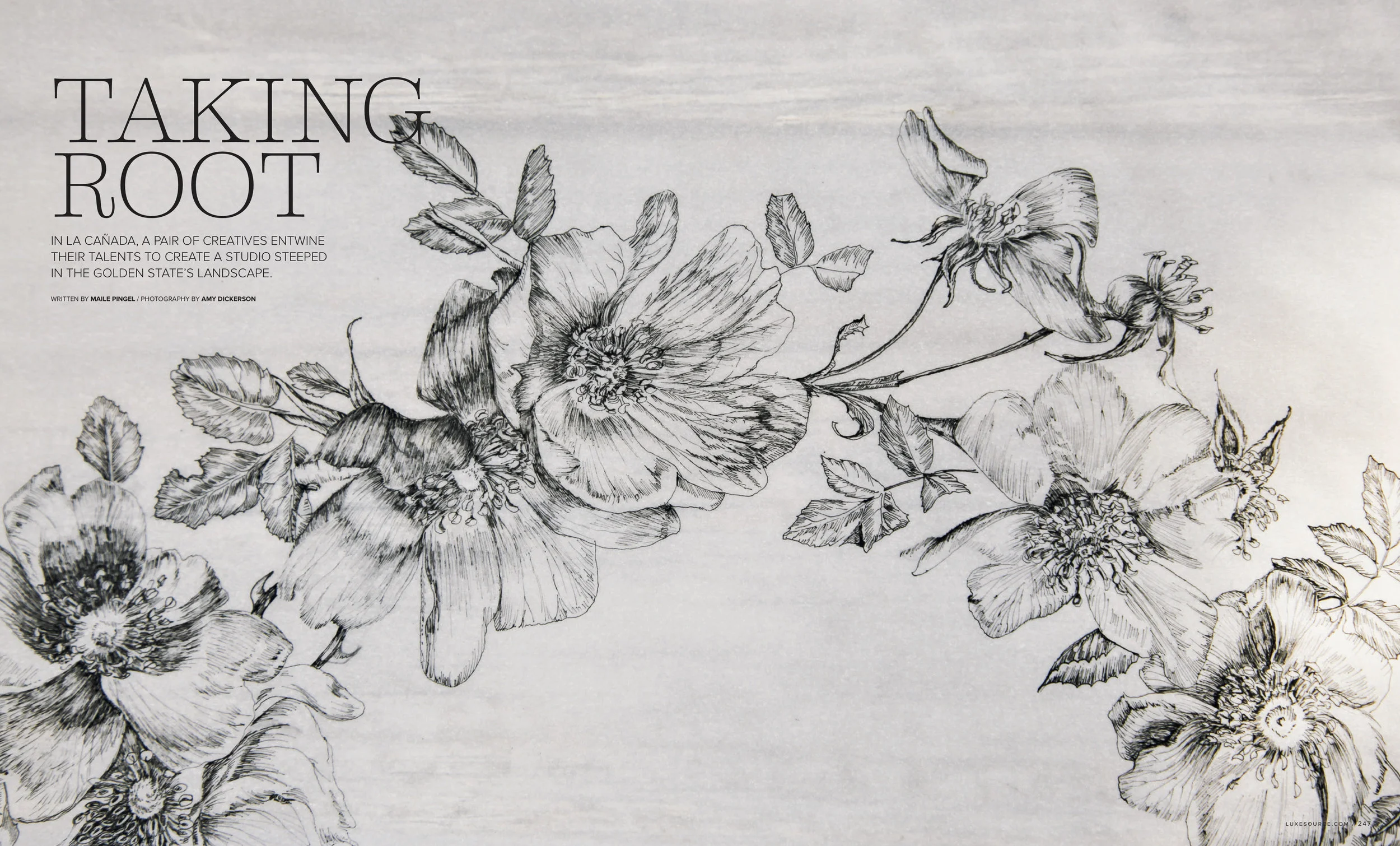 1 rose thicket_maile pingel.jpg