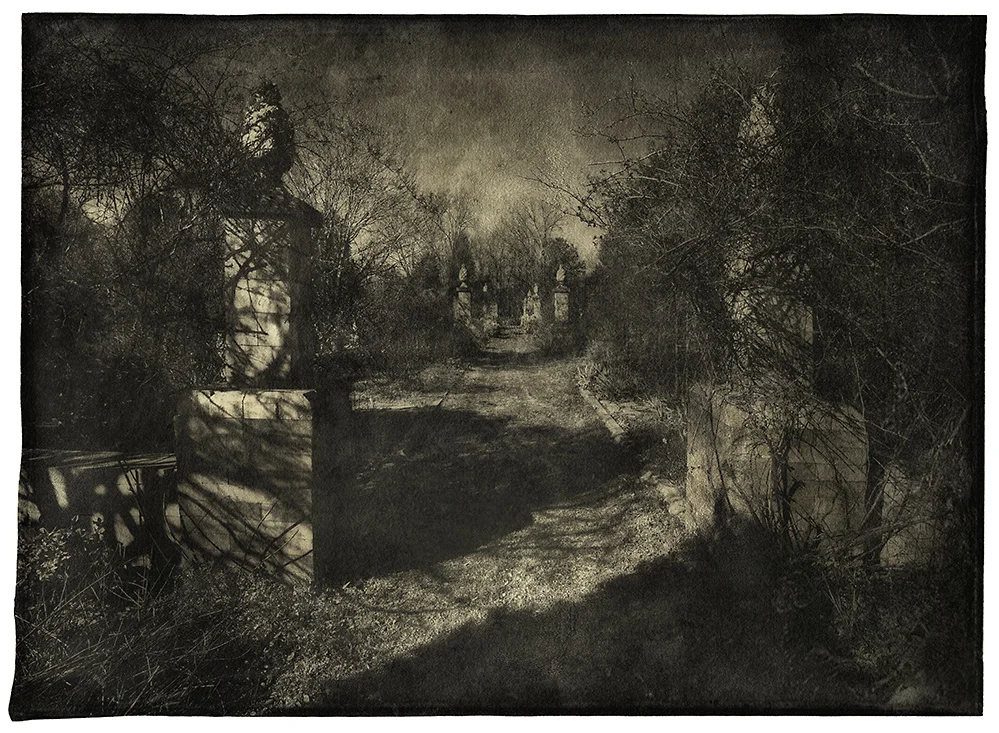Lost Garden
