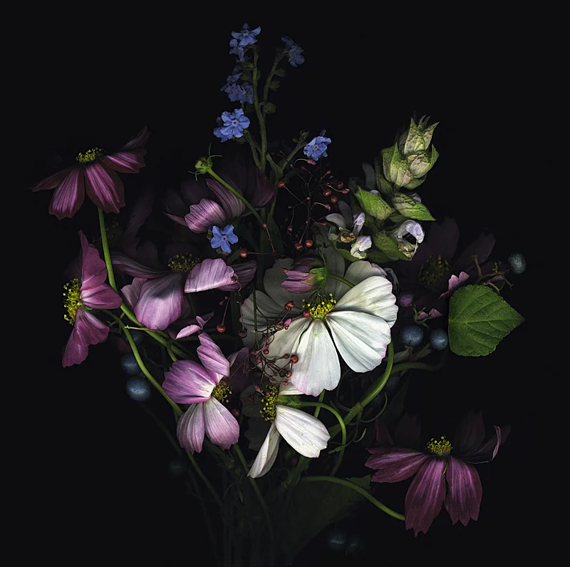 Bouquet