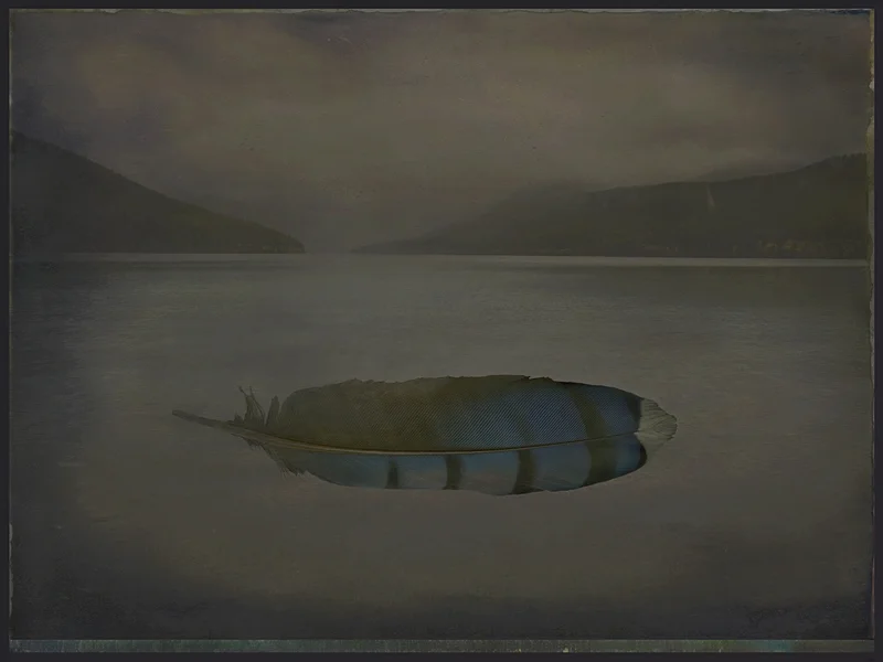 Glacier Pond with Feather