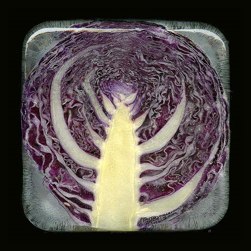 Cool Cabbage