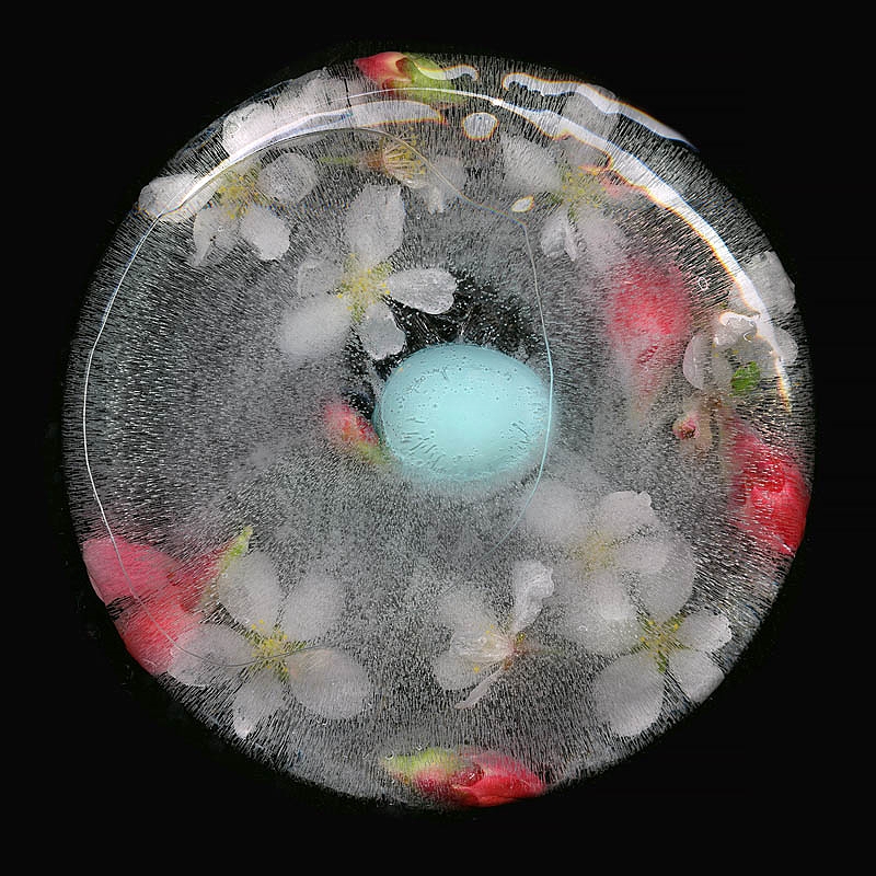 Easter Egg