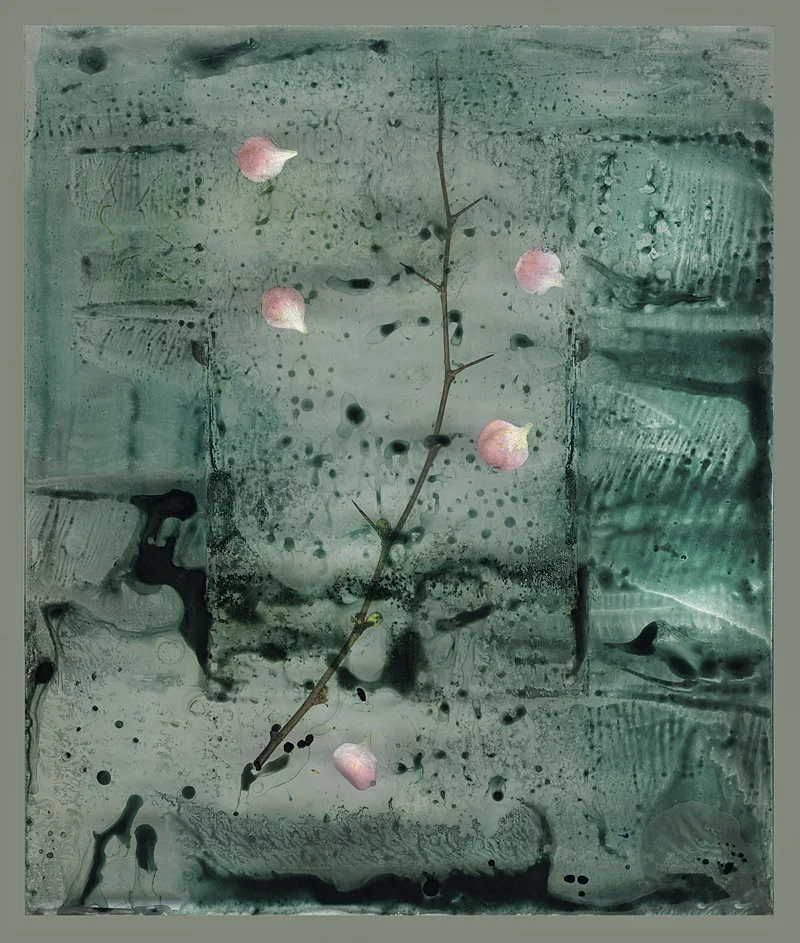 "Twig"