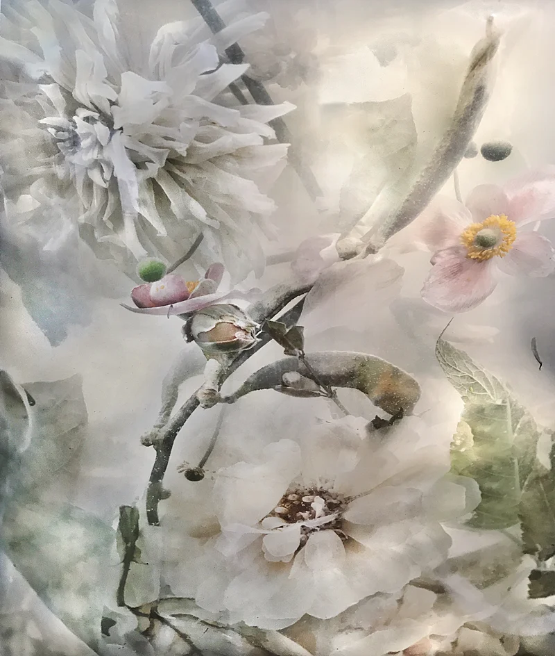 Anemones and Zinnias