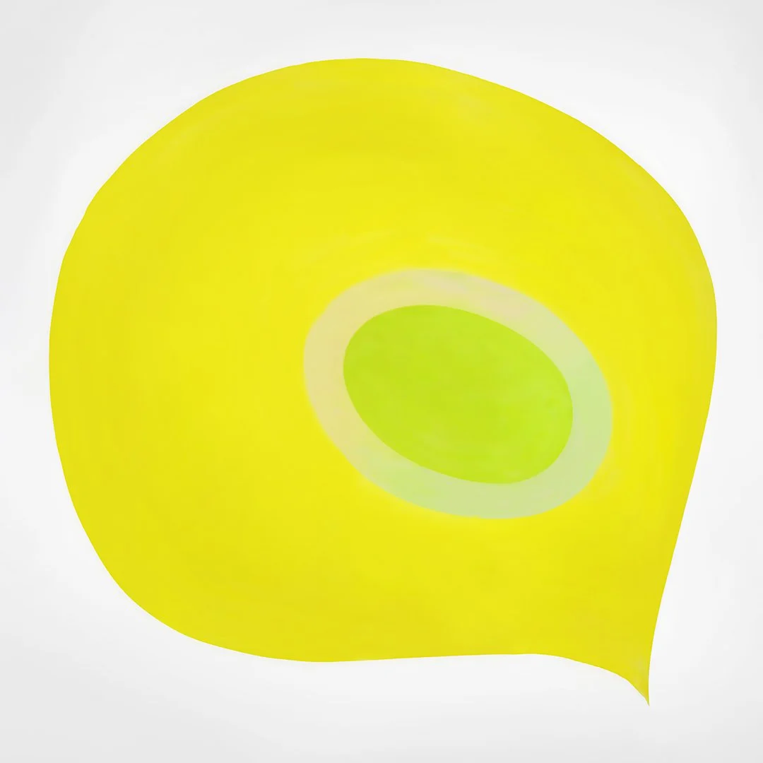 "Kiwi Bird" 2022