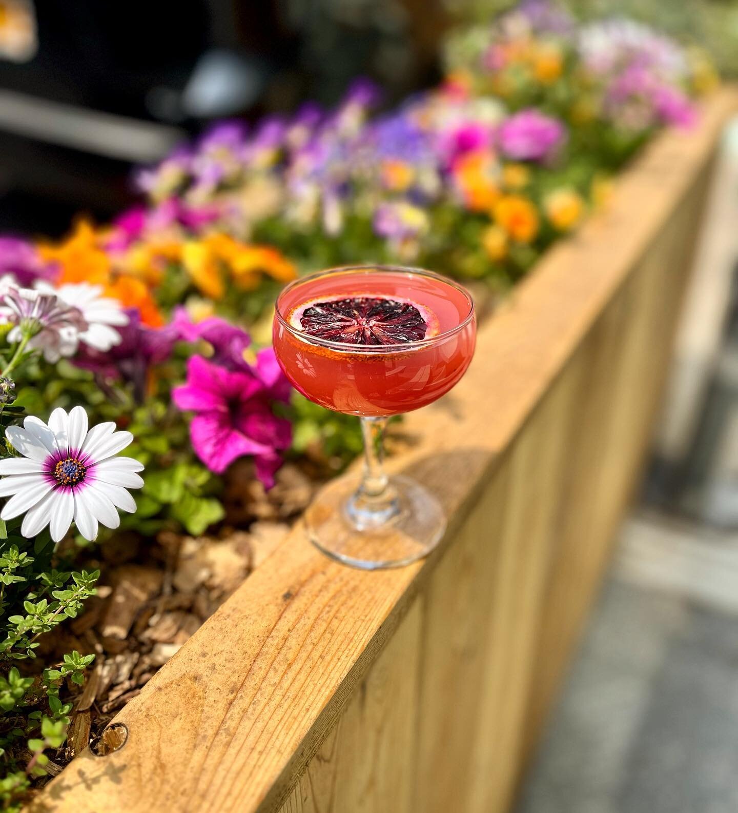 A perfect day for a blood orange margarita in the sunshine☀️See you at 4 for HH🎉