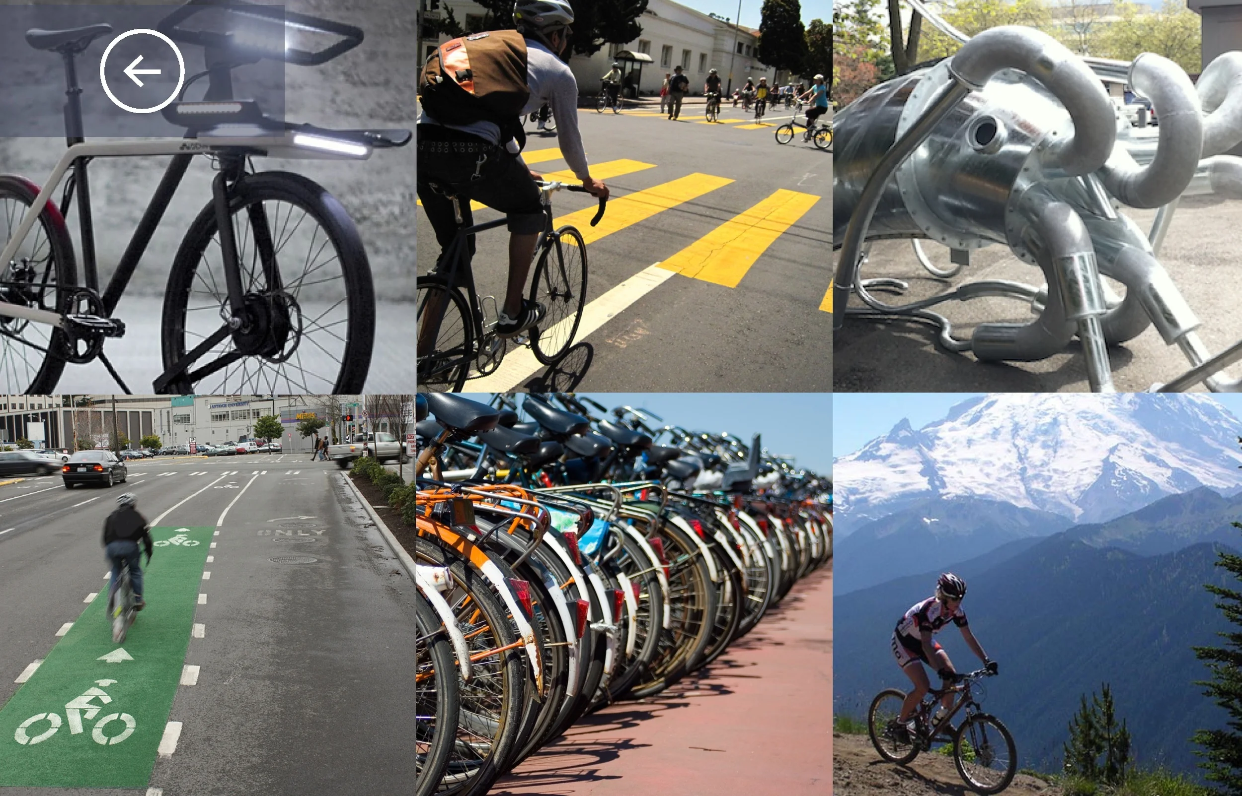 Gallery Page where customers can view photos.