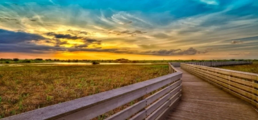 We are a group of experienced mental health professionals who are committed to providing a variety of holistic care and services to individuals, couples, and families. 
