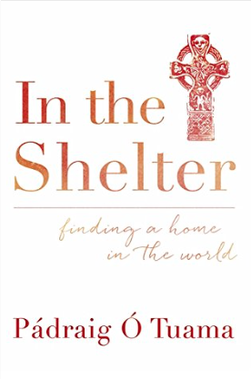 Hodder & Stoughton cover for 'In the Shelter'.