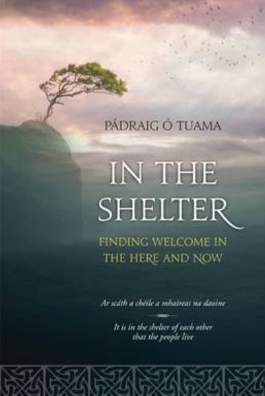 Hachette Ireland cover for 'In the Shelter'