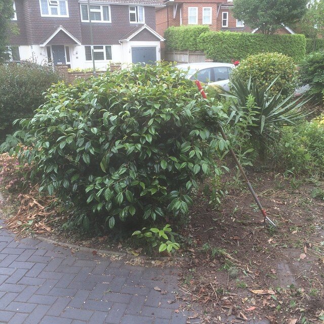Gardening