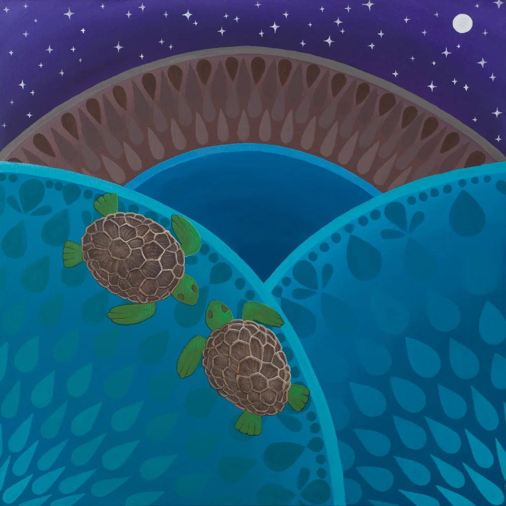 Sea Turtles