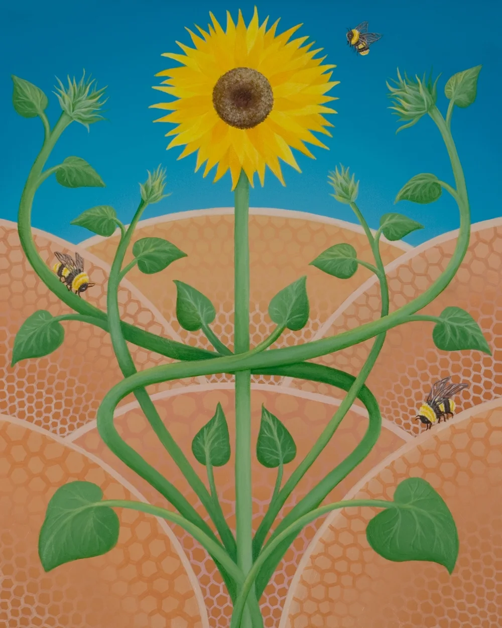 Sunflowers