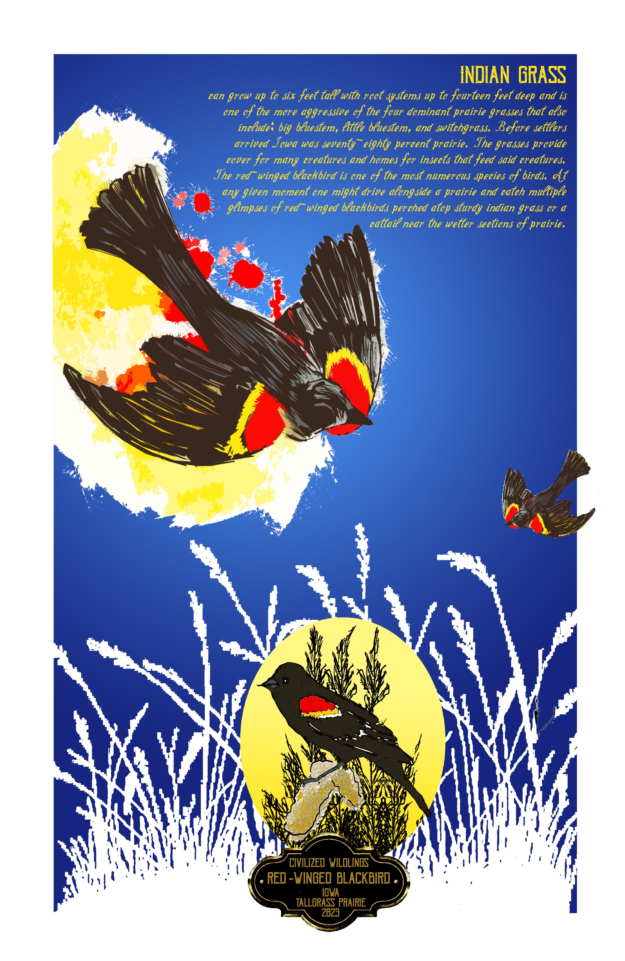 Blackbird_Indian_Grass_Poster_FLAT.jpg