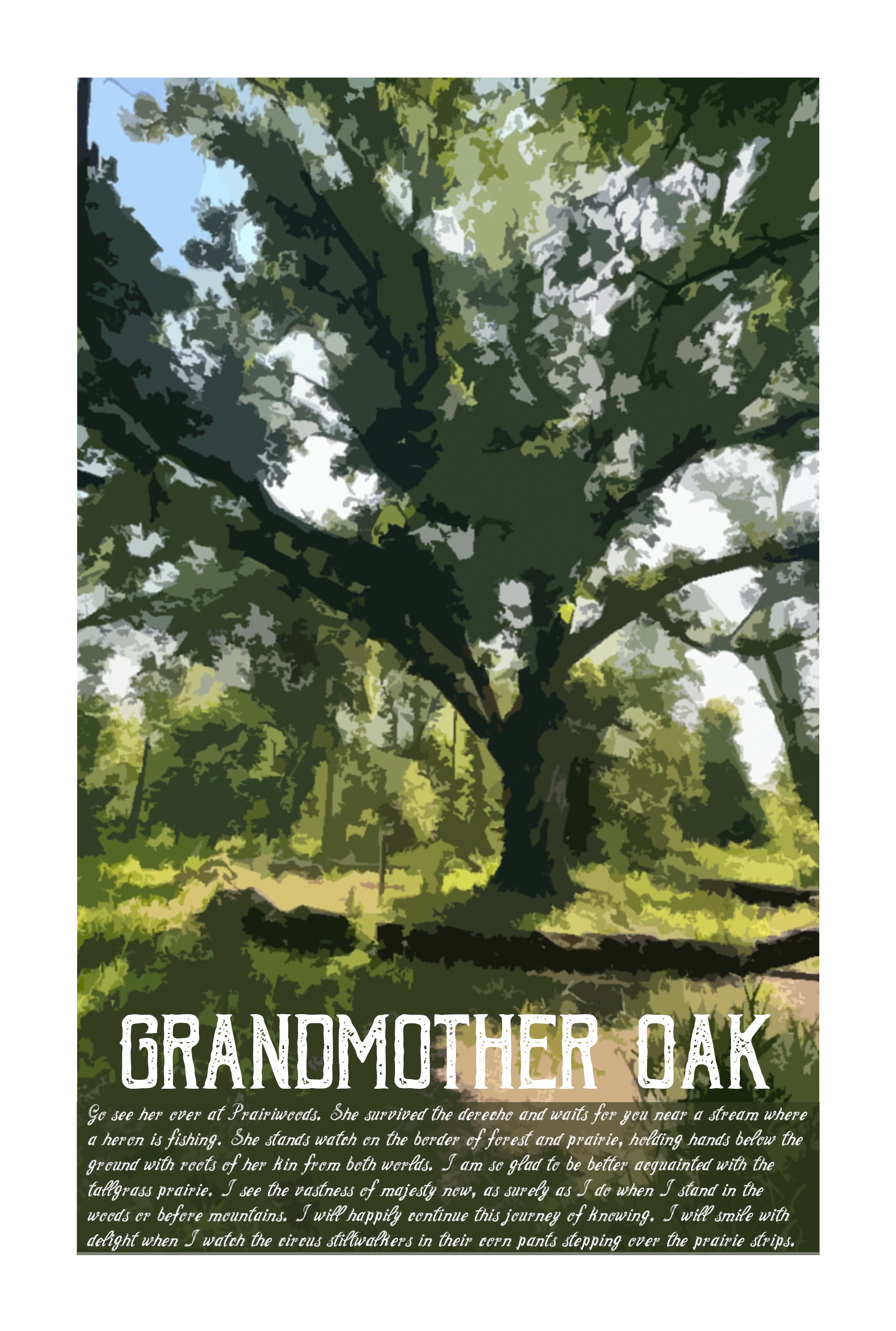 14FLAT_Grandmother OAK.jpg