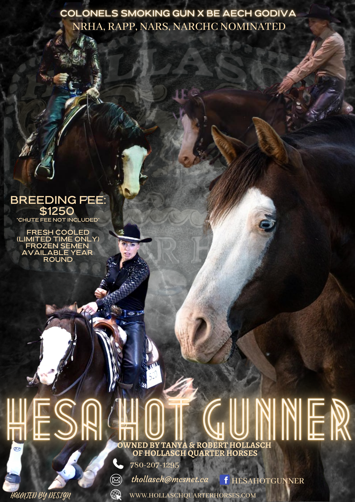 Hesa Hot Gunner Promo Ad 2023 - Hollasch Quarter Horses.png