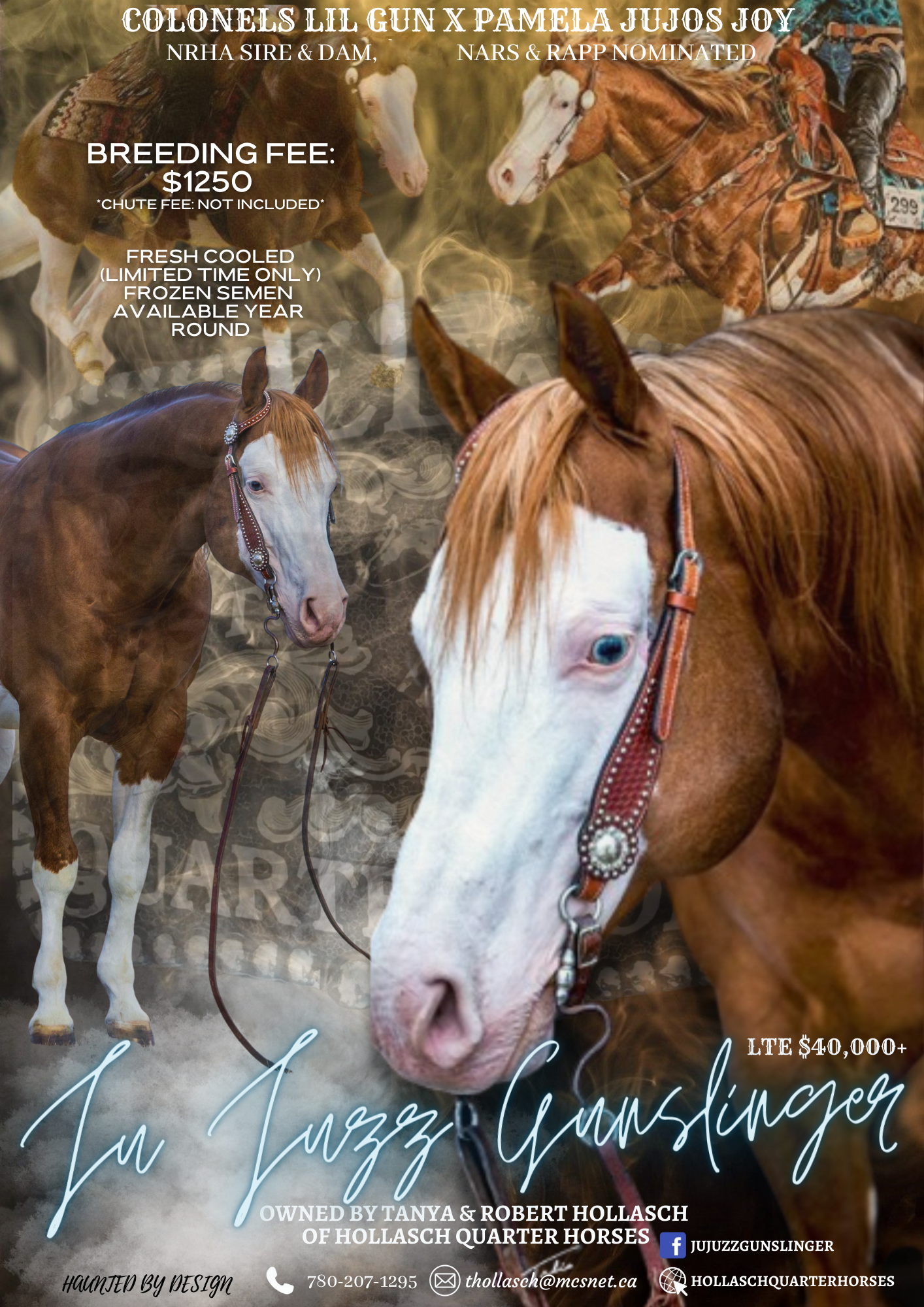 Ju Juzz Gunslinger Breeding Ad 2023 A - Hollasch Quarter Horses.png