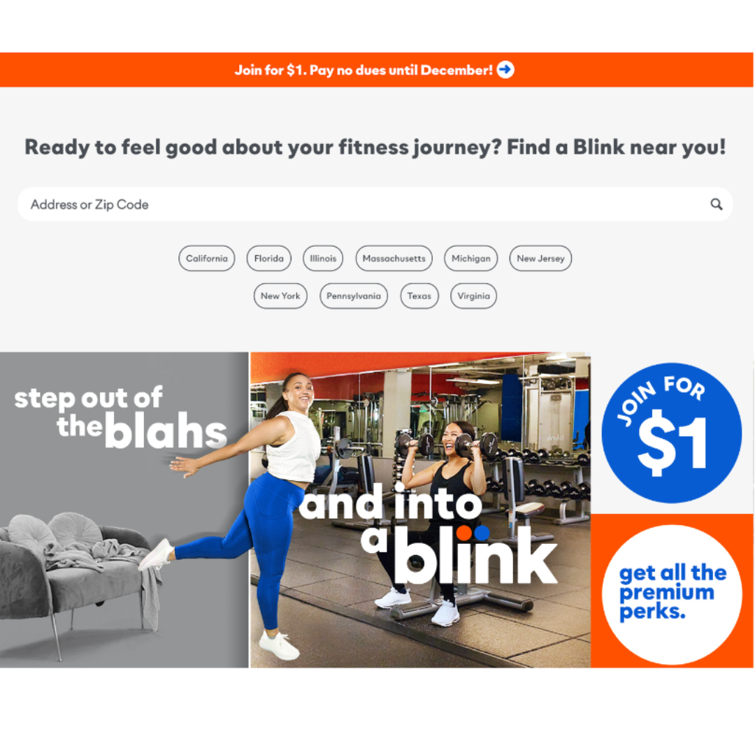 Blink portfolio (2).png