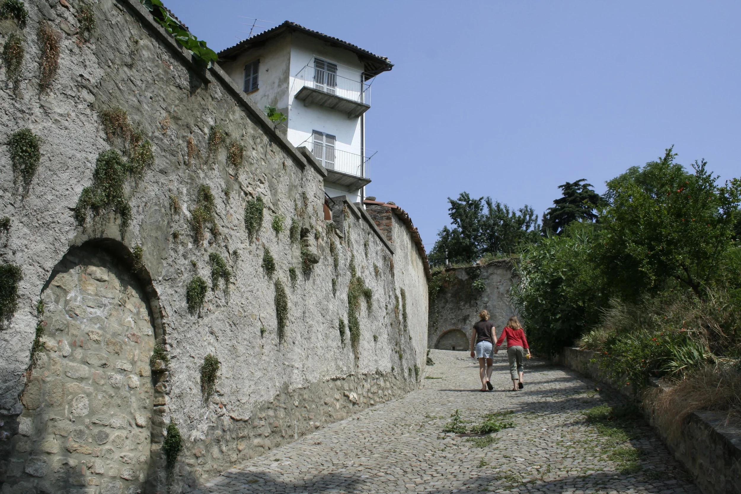 _MG_0778.JPG