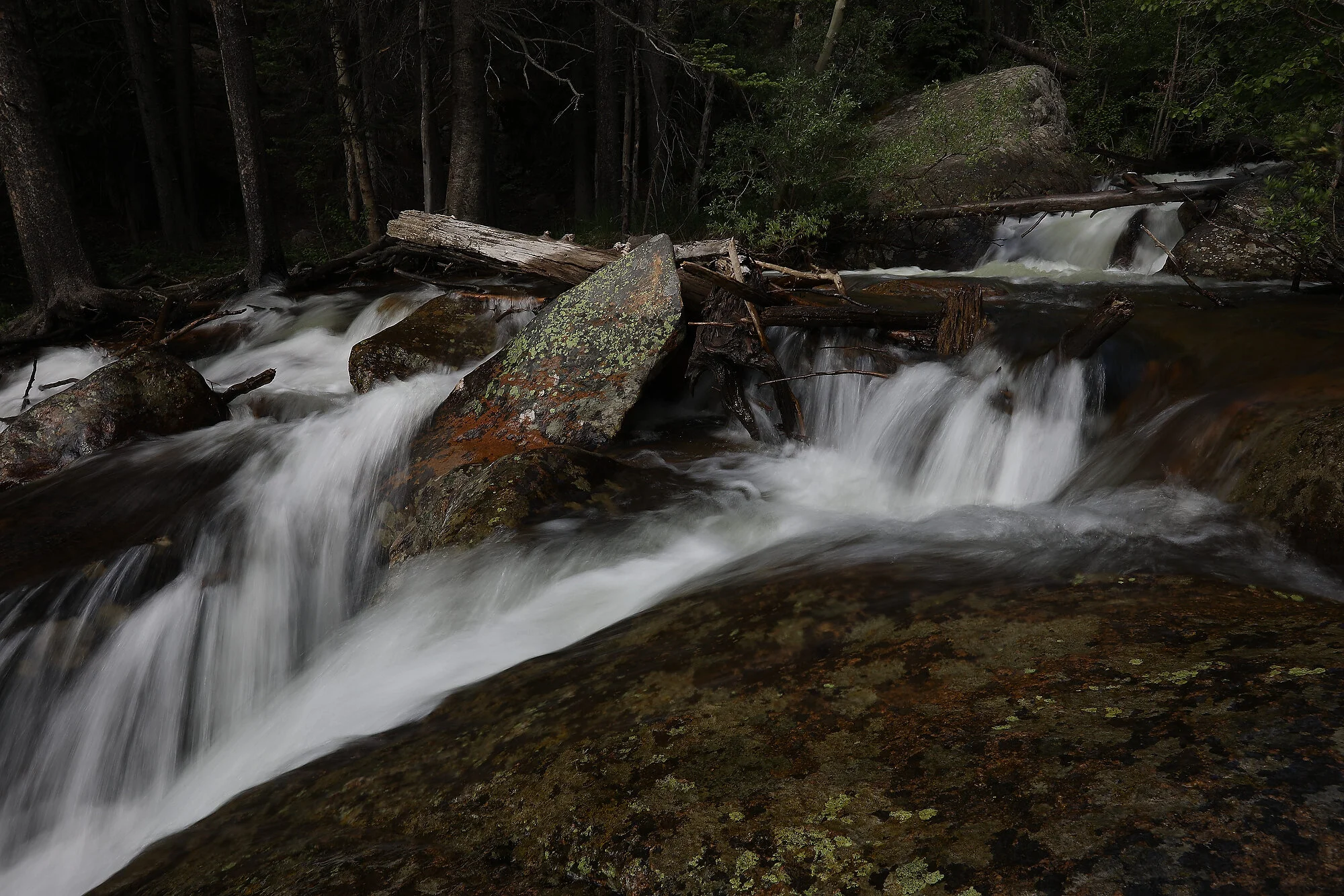  Water falls from the Falls River, Rocky Mts. NP, Colorado 