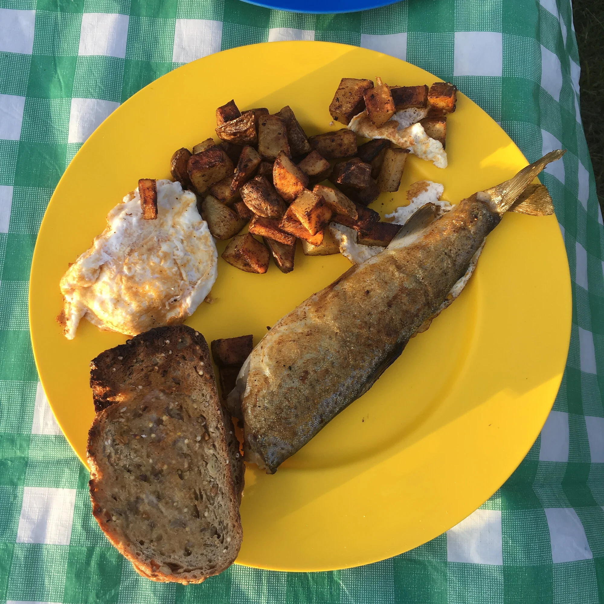  Breakfast on the Green River. 