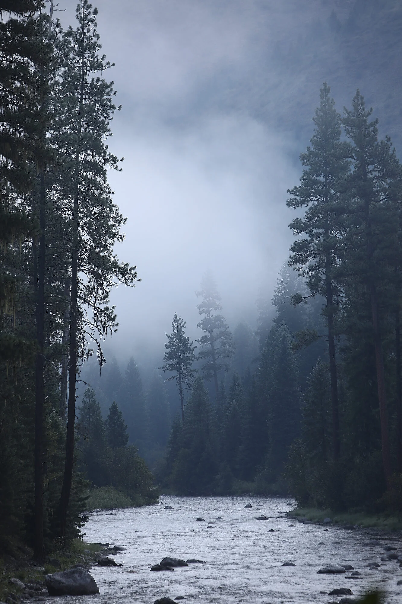  Morning mist on the Selway River, ID 