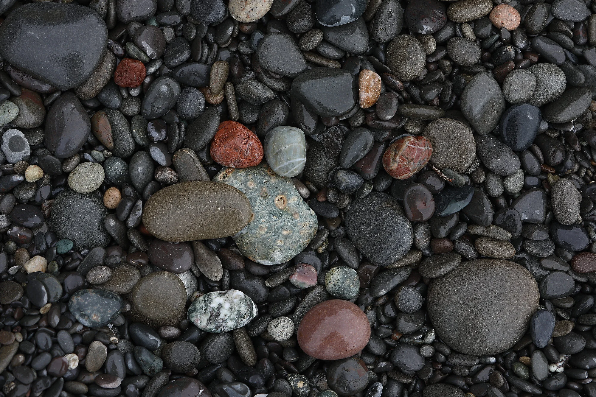  Rocks at Rialto Beach, Olympic National Park, Washington. 