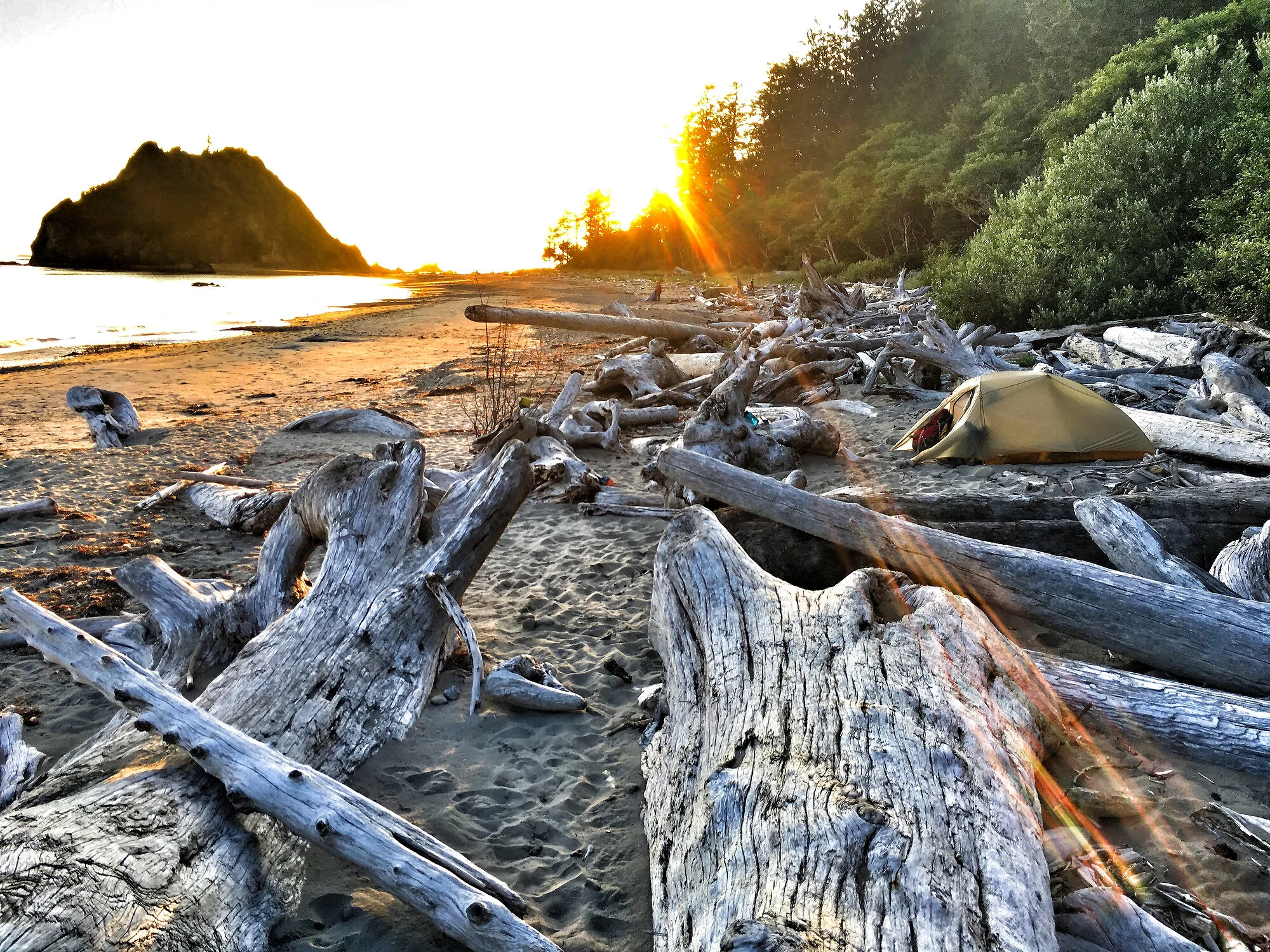  Campsite among the drift wood, Olympic NP, WA 