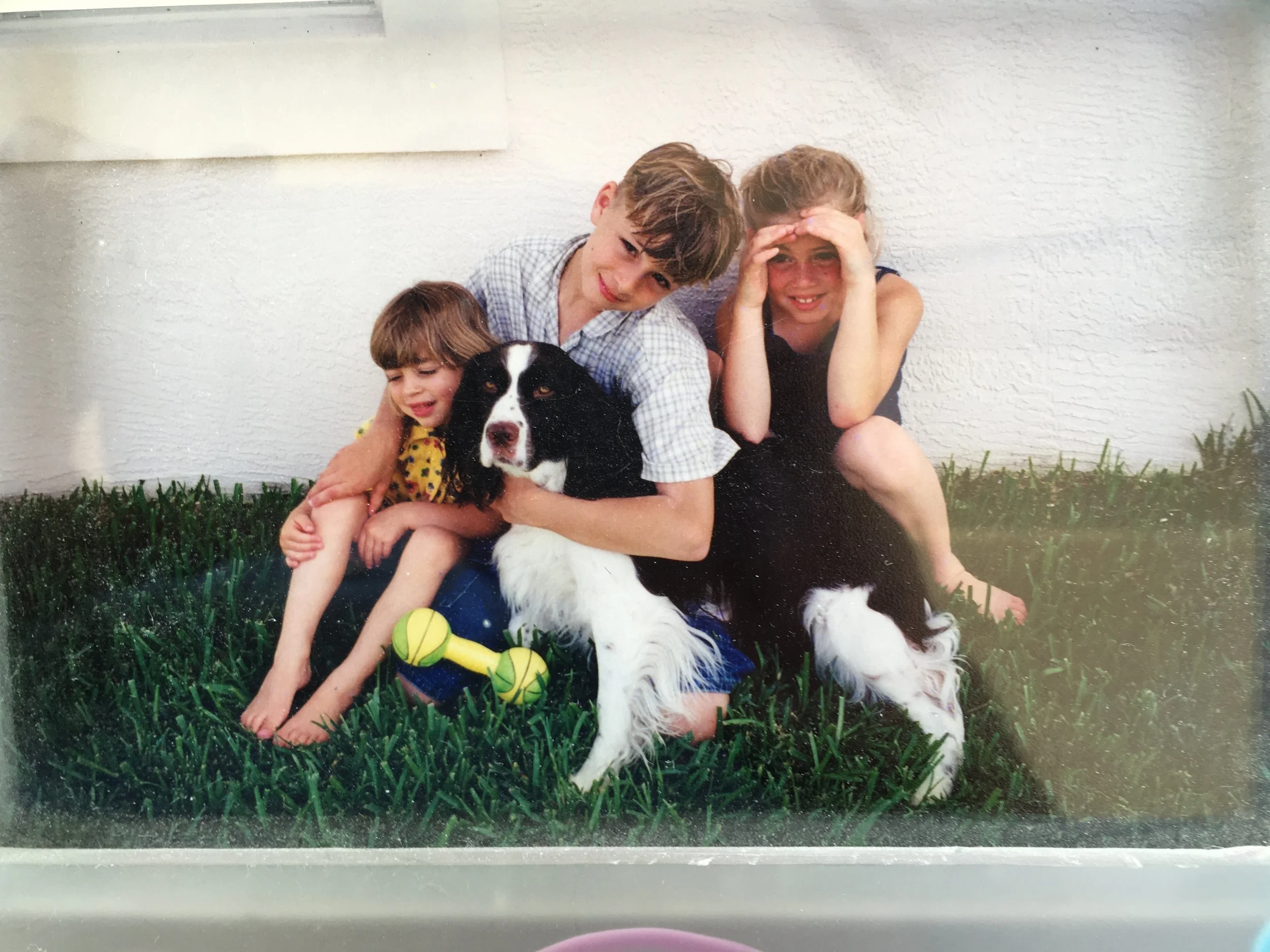 Campare 2 IMG_3673 copy.JPEG