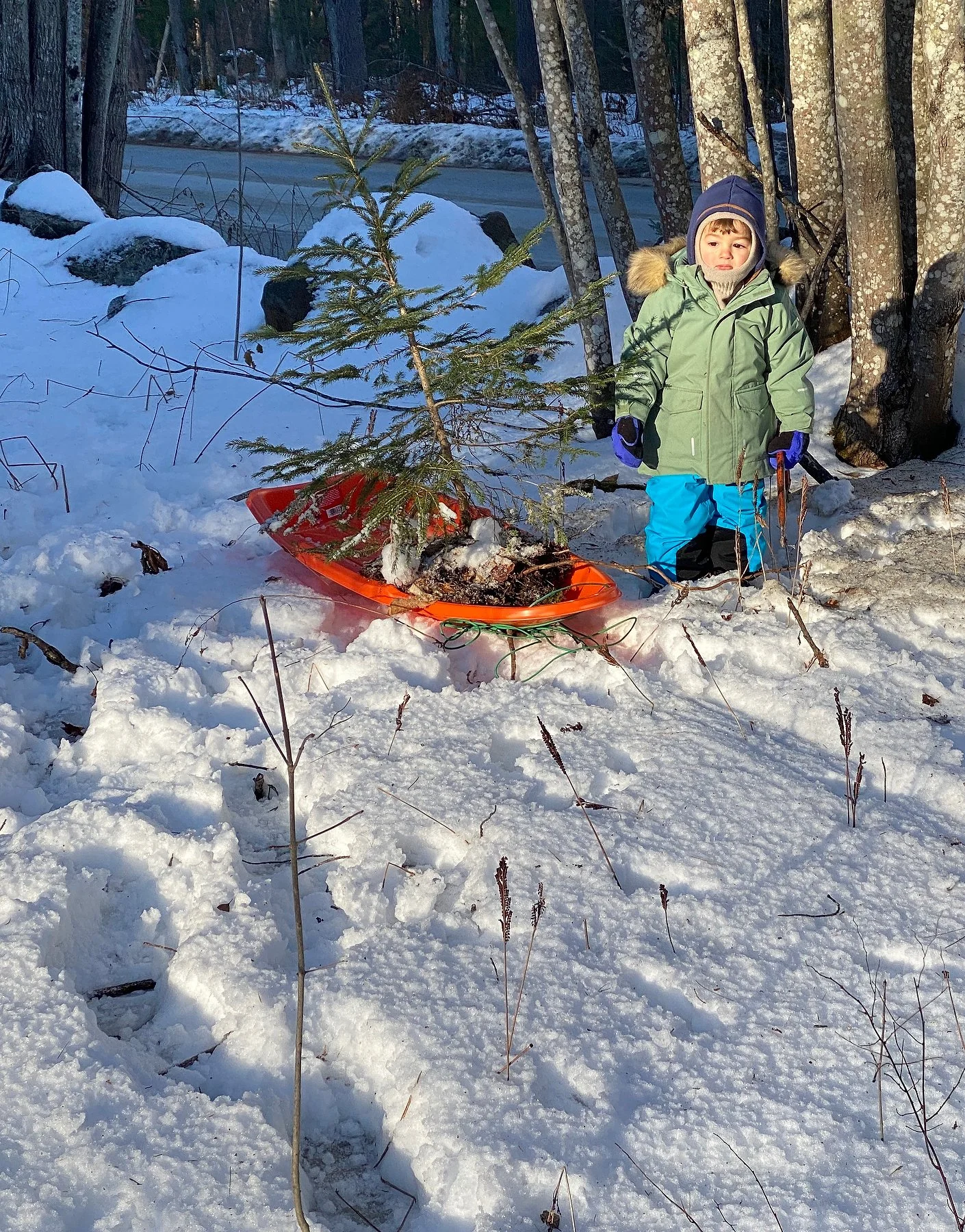 2025 Holiday_IMG_3454.JPG.JPG