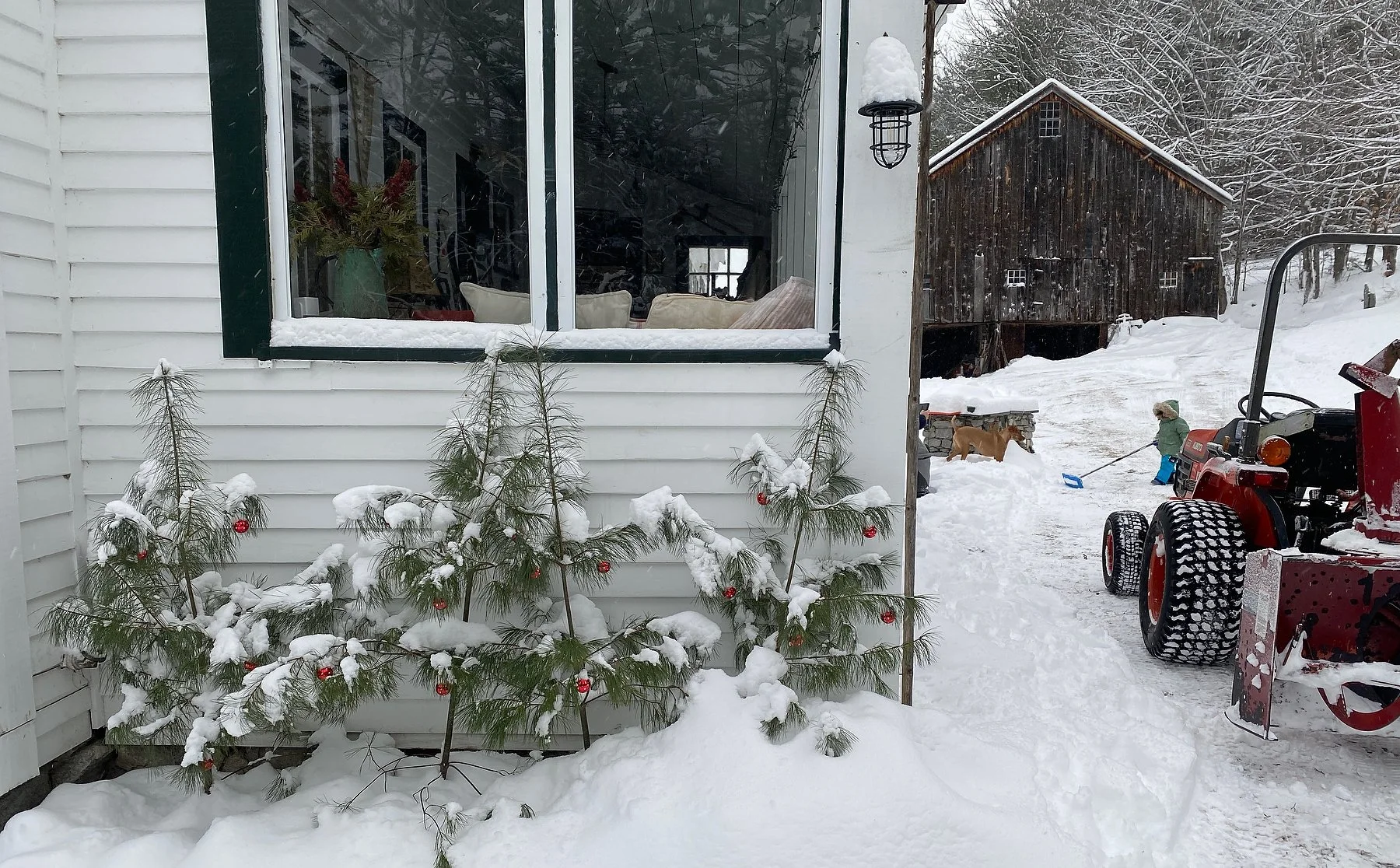 2025 Holiday_IMG_3514.JPG.JPG