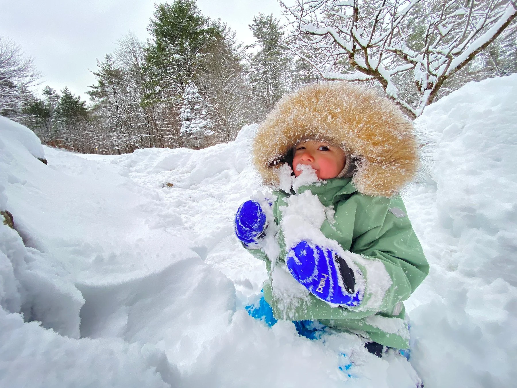 2025 Holiday_IMG_3534.JPG.JPG