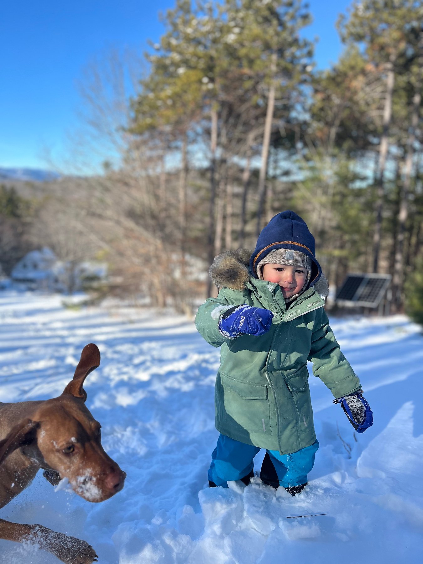 2025 Holiday_IMG_4100.JPEG.JPEG