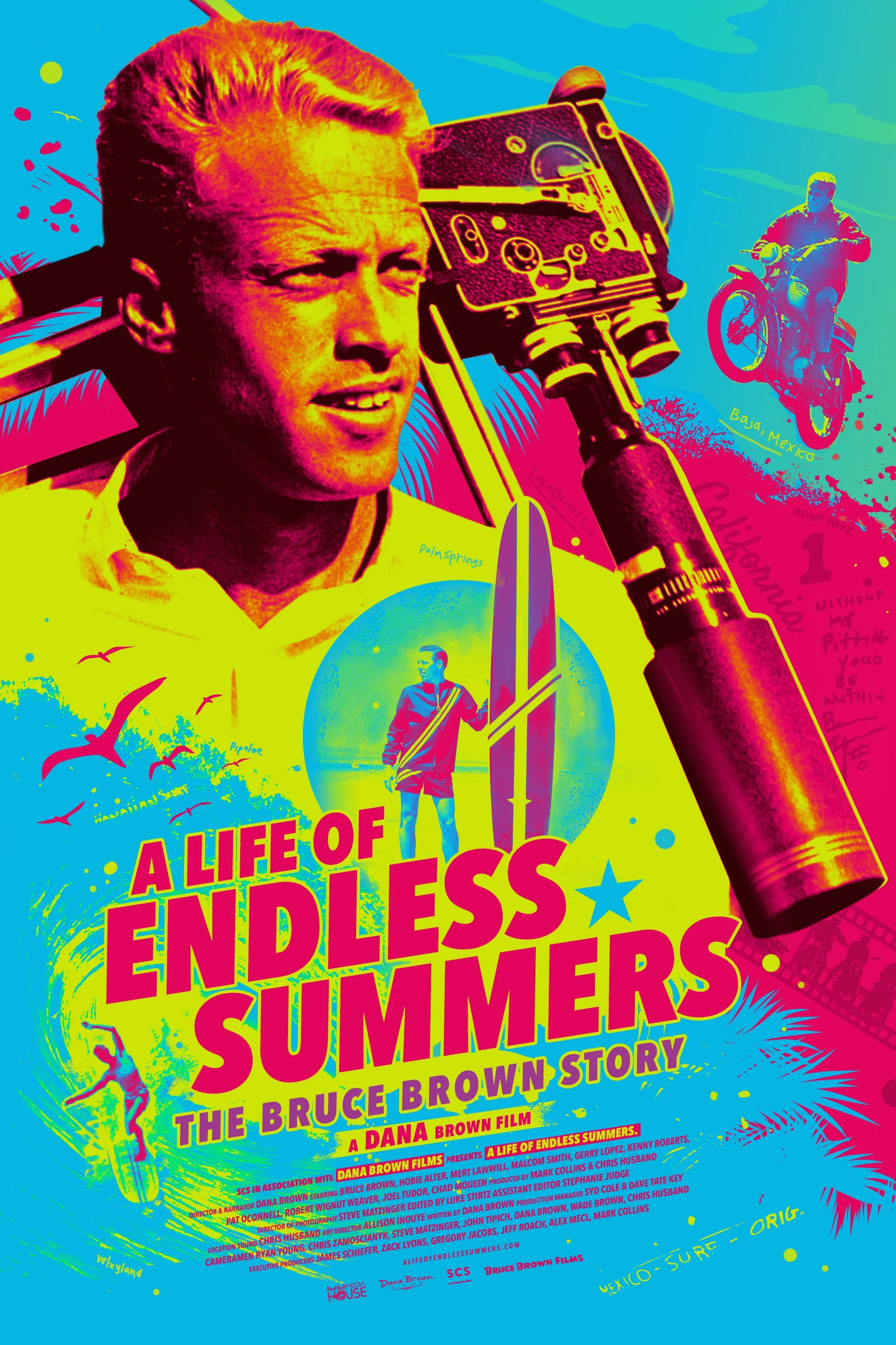 A-Life-Of-Endless-Summers-1.jpg
