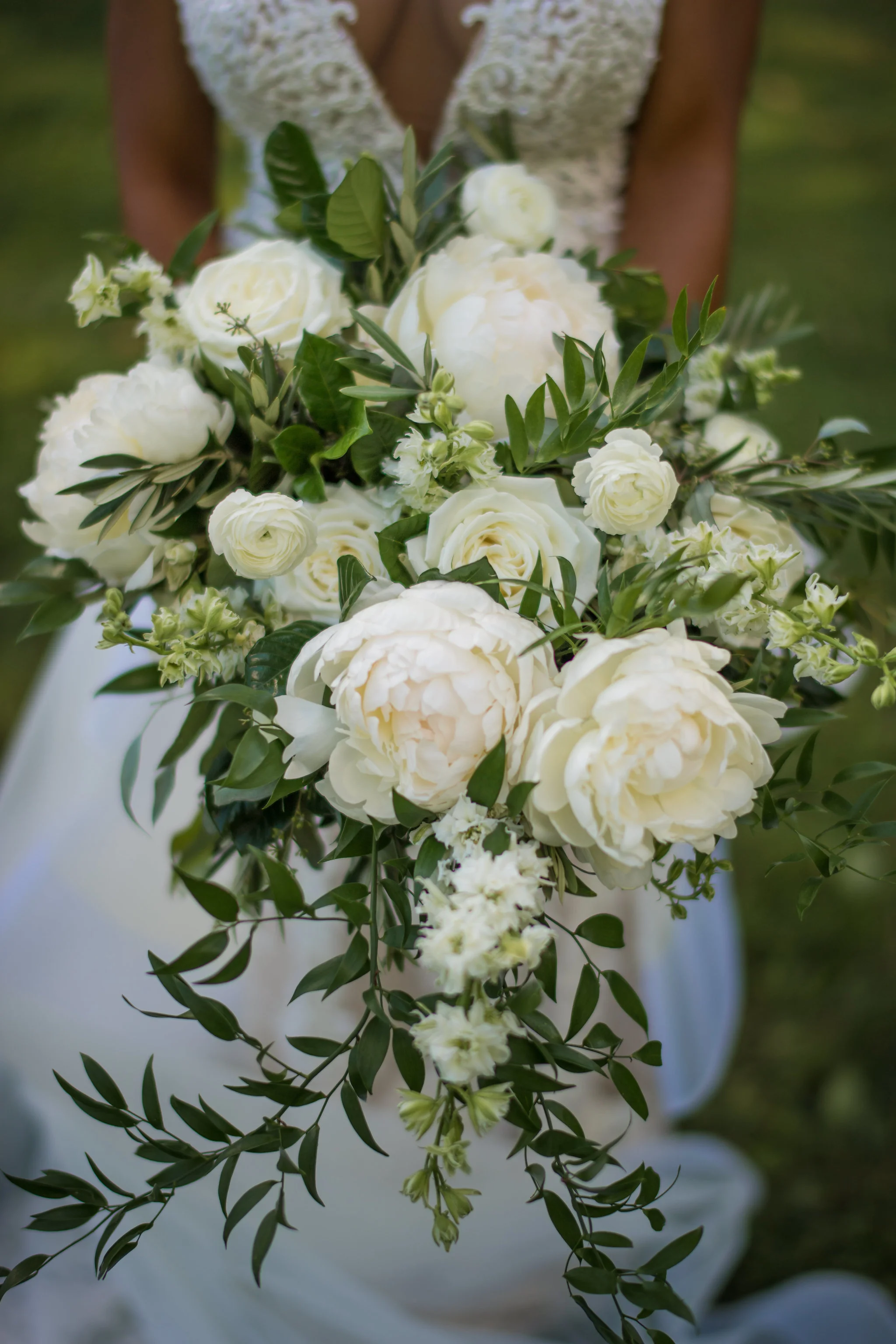 Cumberland_7-8-17_0517.JPG