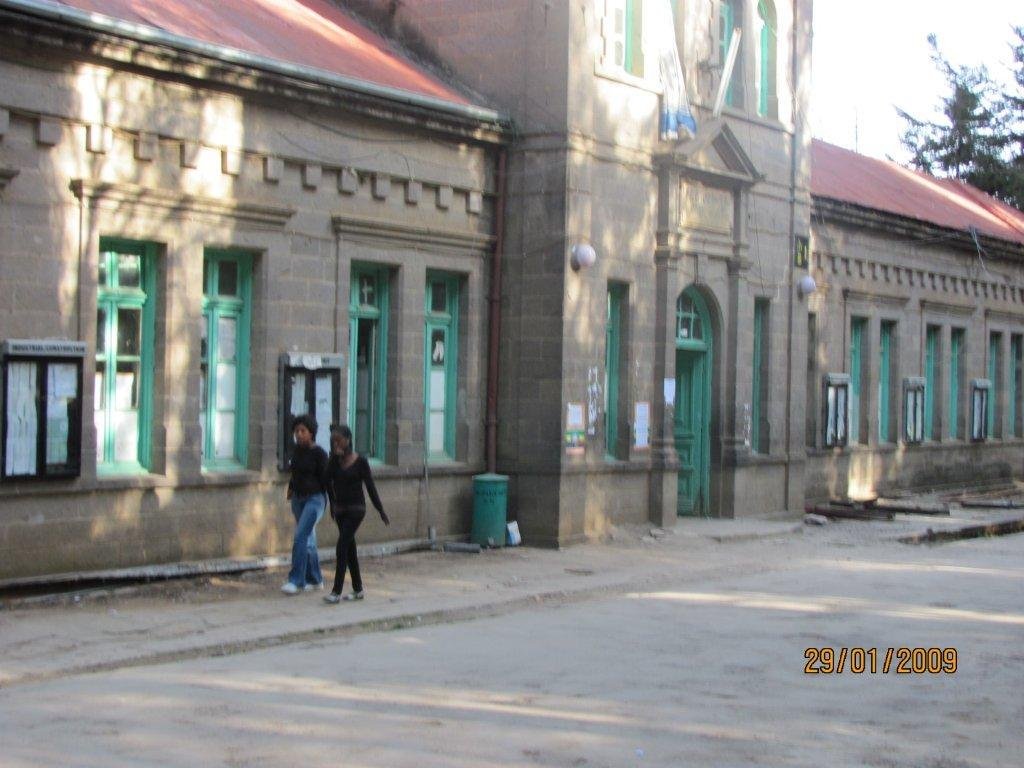 Addis Pics JanFeb 2010 020.jpeg
