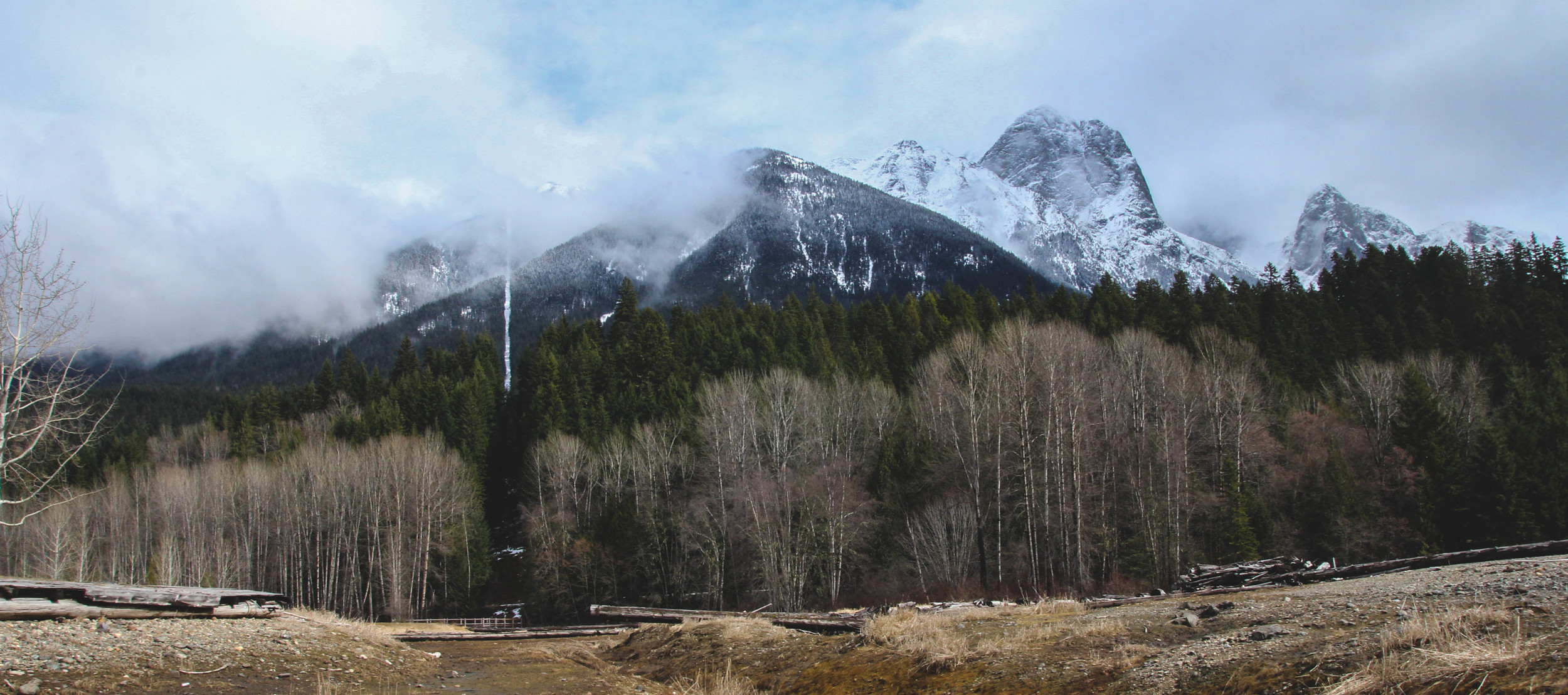 A shot from the border towards the Cascade Mtns.