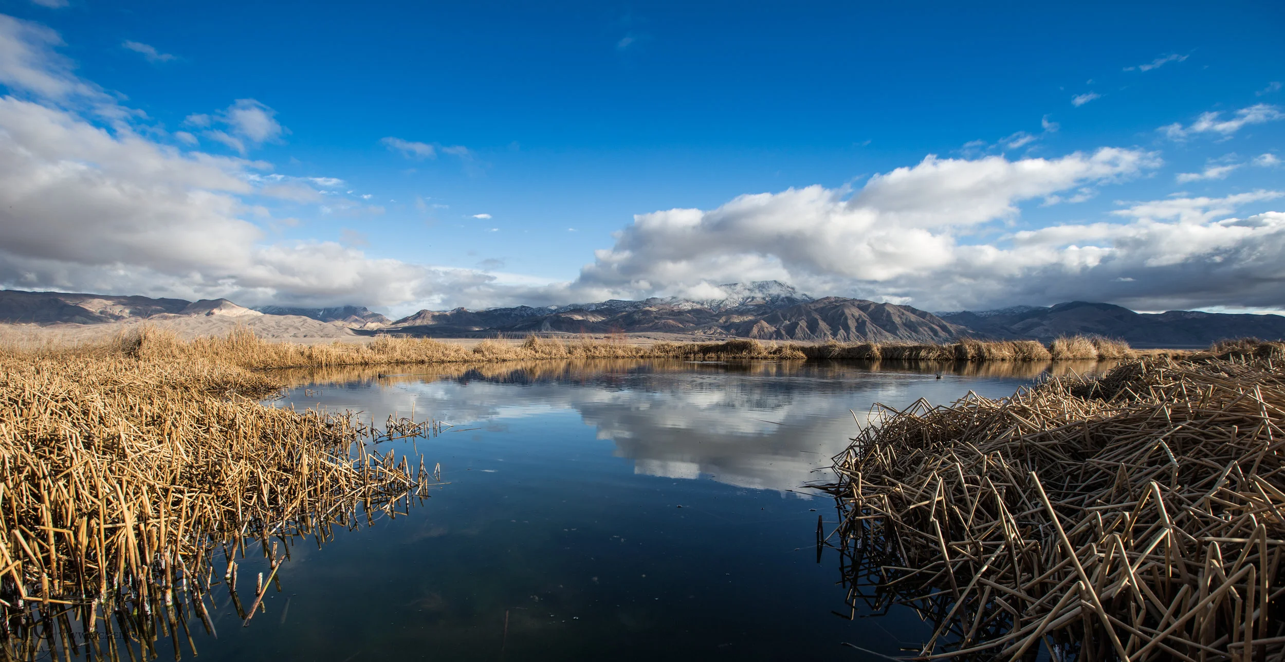 The pond formed by Fish Lake hot spring.