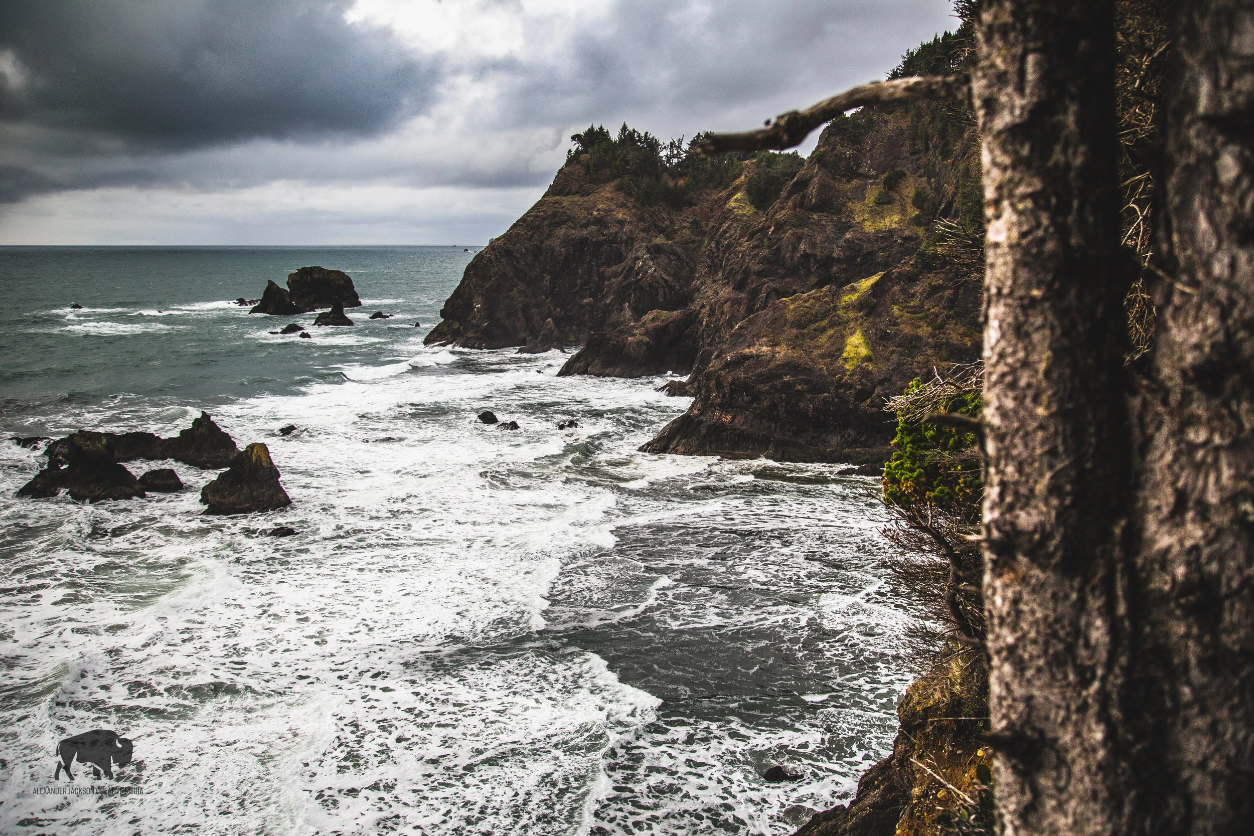 Not surprisingly the Oregon coast has been placed on my 'return to' list. I'll probably go back during the summer though, it was a little too cold and windy for my taste on this particular trip.