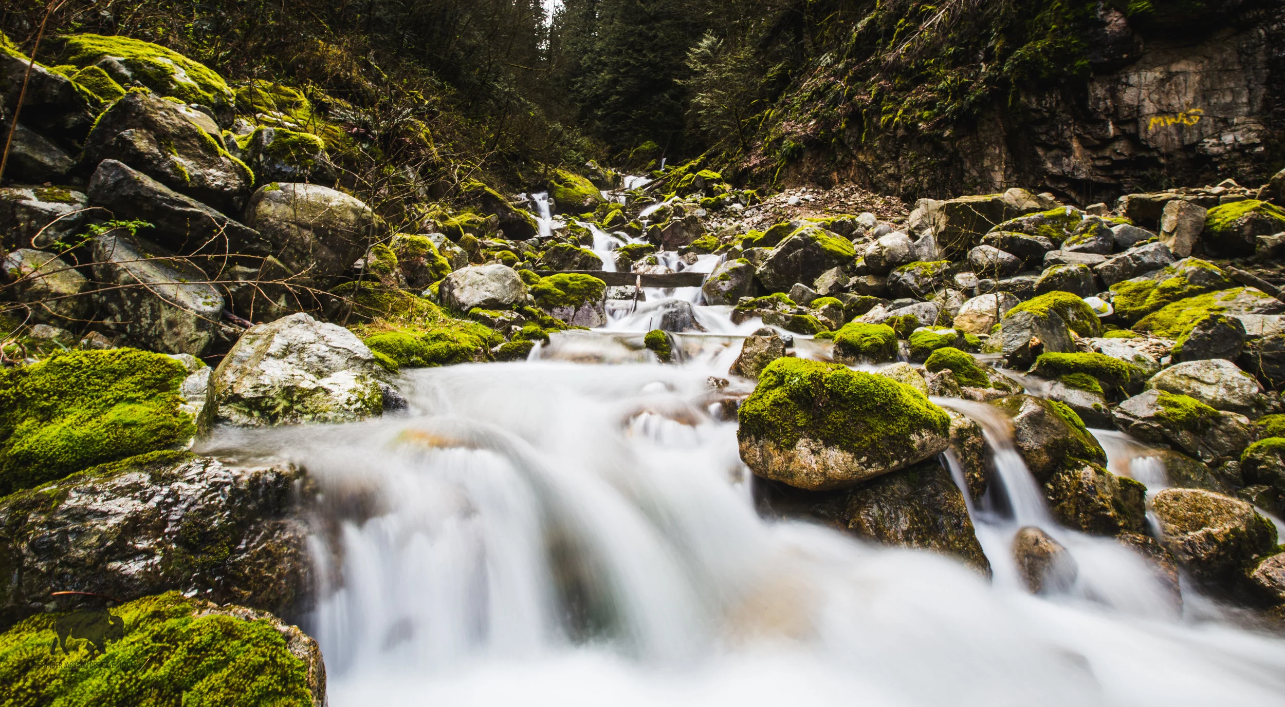 Suicide Creek-24.jpg