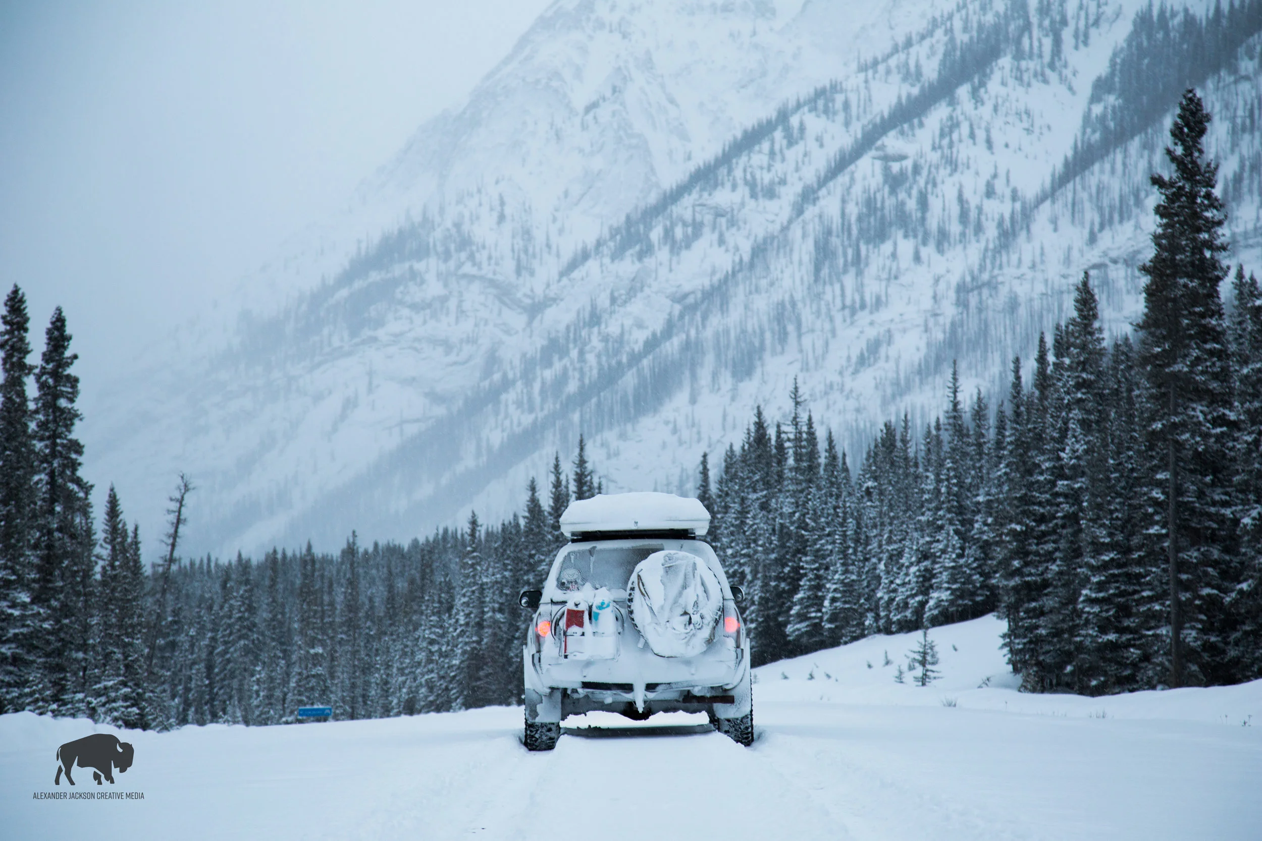 Snow blasting has made a place in my heart, I've never driven fast through fluffy snow, but it was so fun!