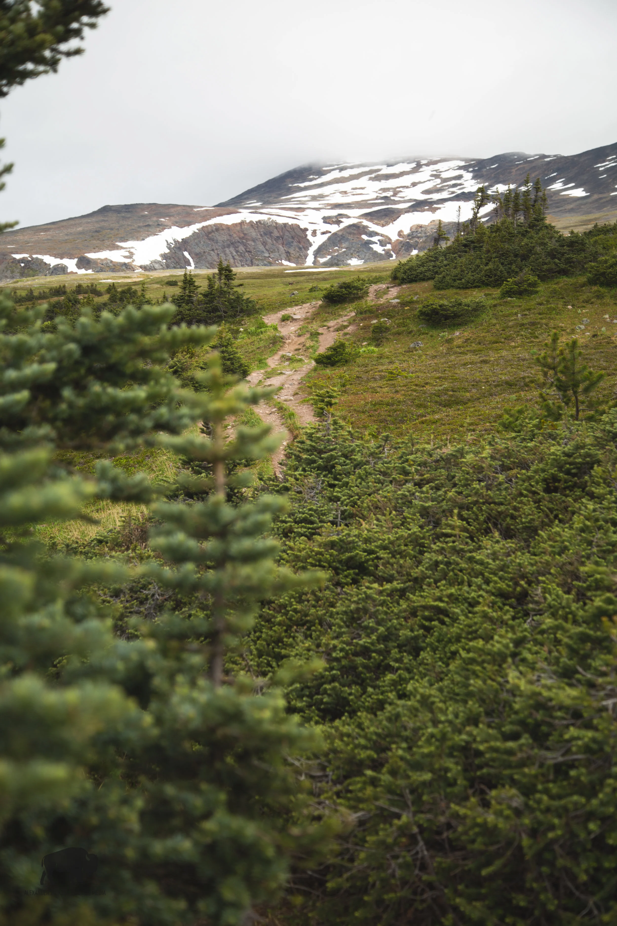 I get so excited when hiking towards snow in the midst of summer.