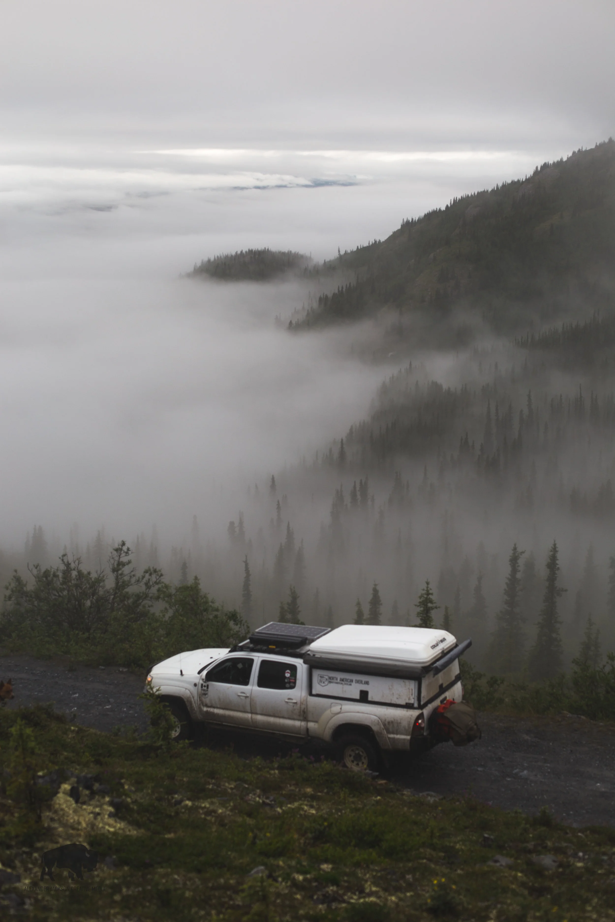 There's a Whitehorse down there somewhere, but for now you can just look at my white mule...
