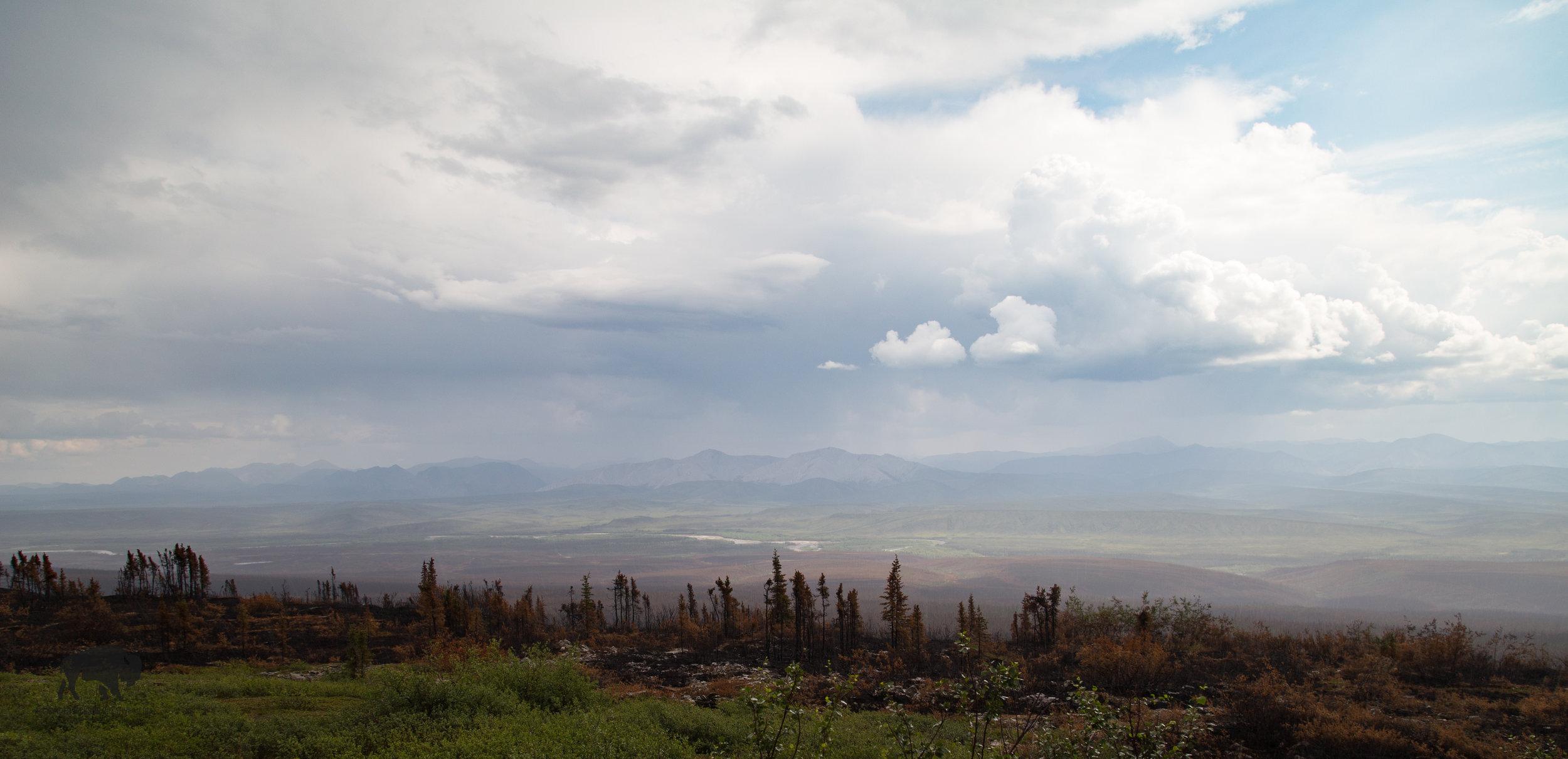 Vastness abounds.