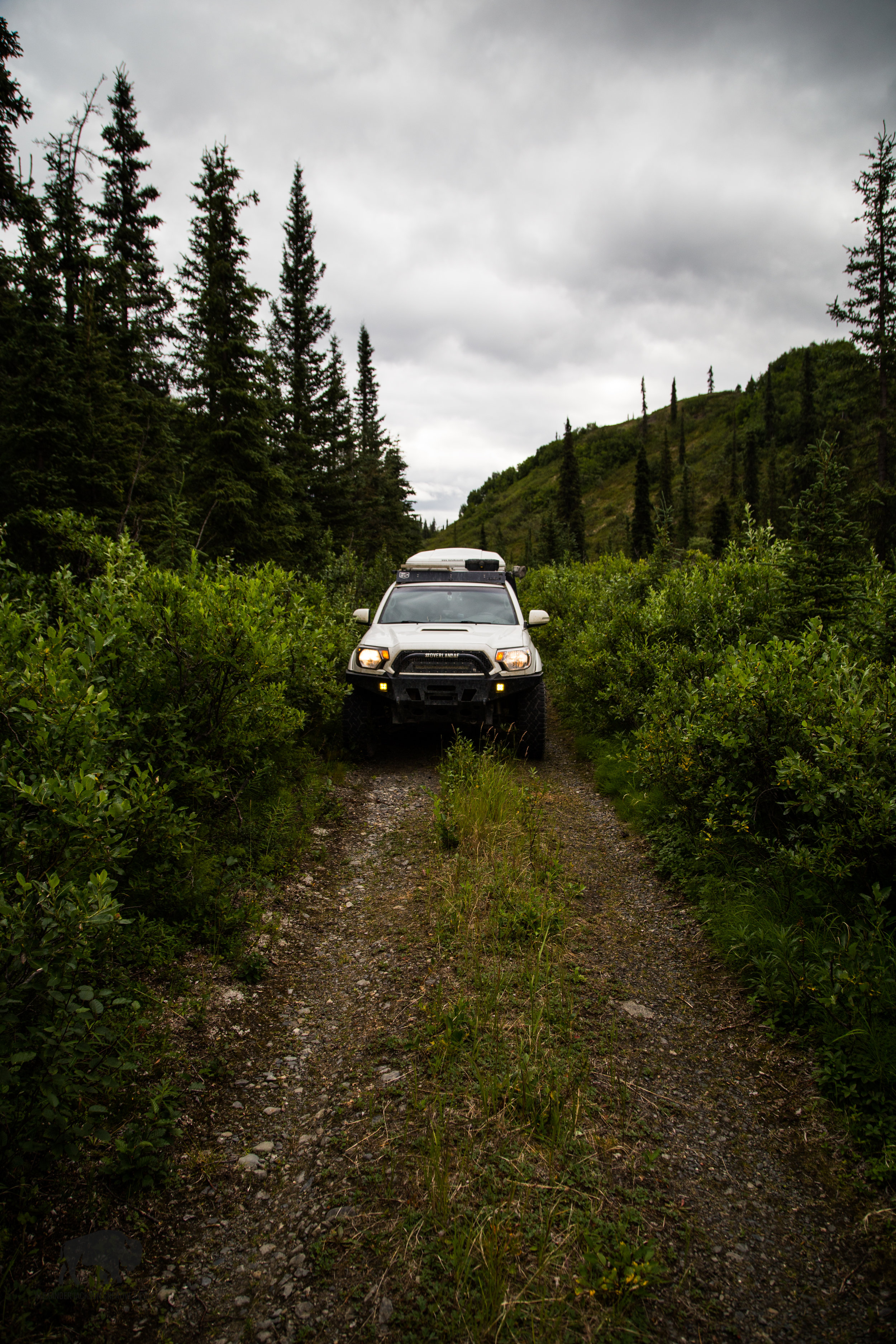 Sometimes one has to find himself off the beaten path...and subsequently follow a quad trail into dense bush only to find a dead end.