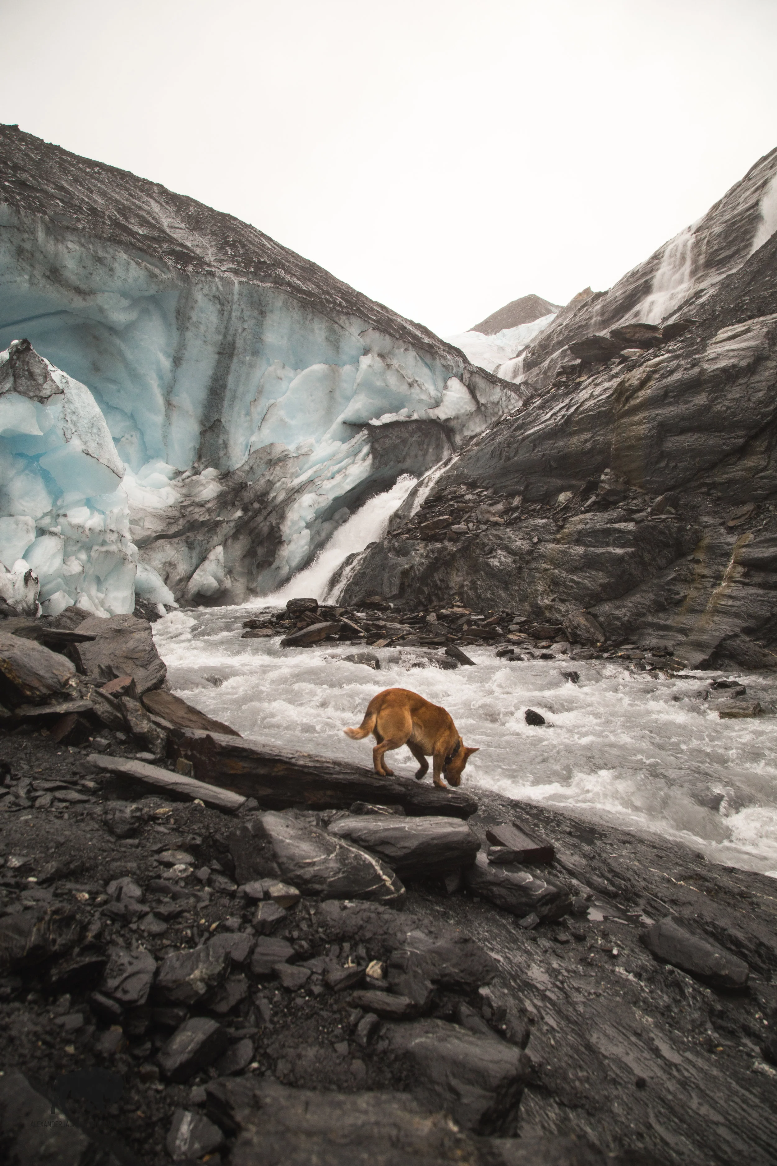Mine and Willow's first glacial experience.