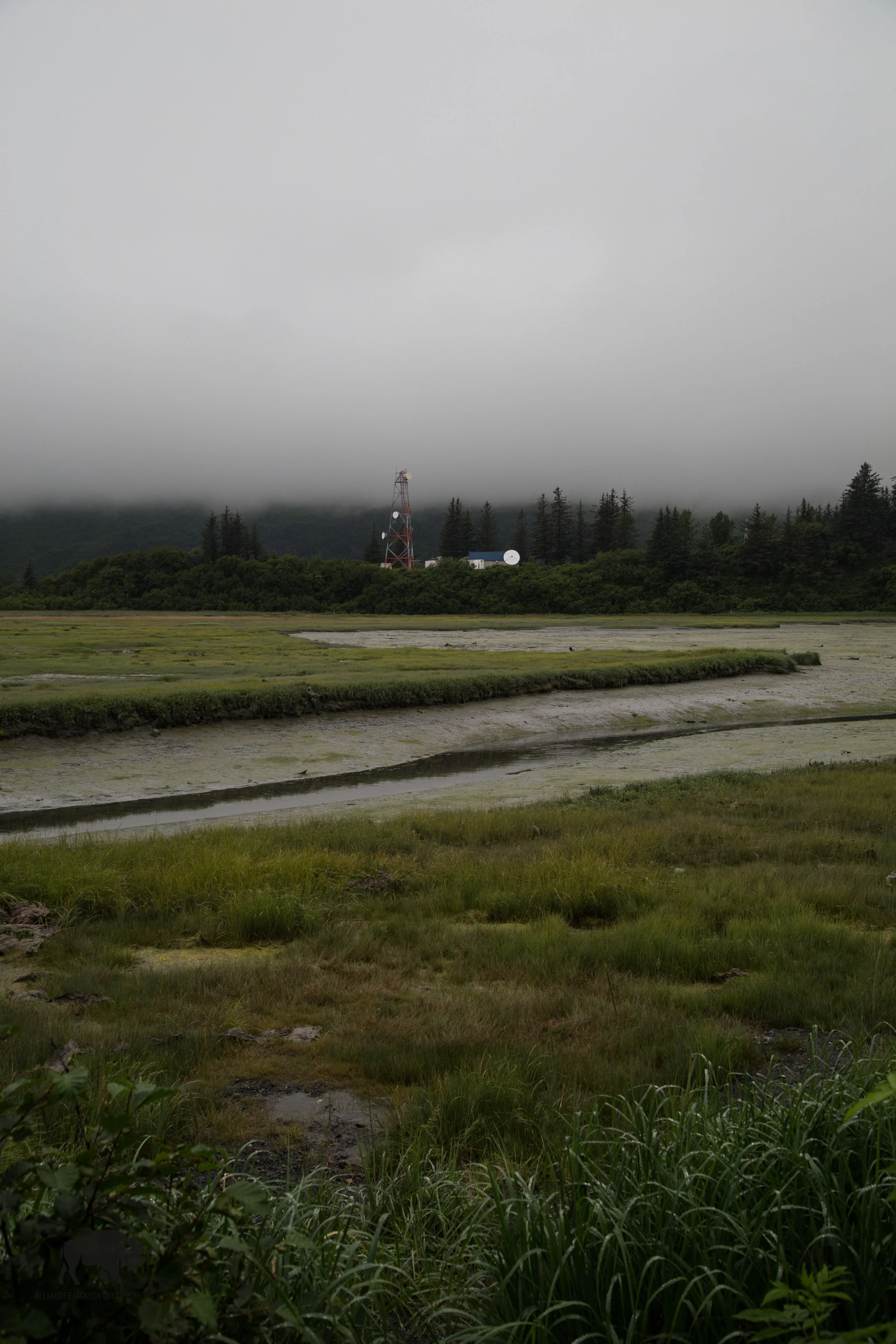 Valdez-2146.jpg