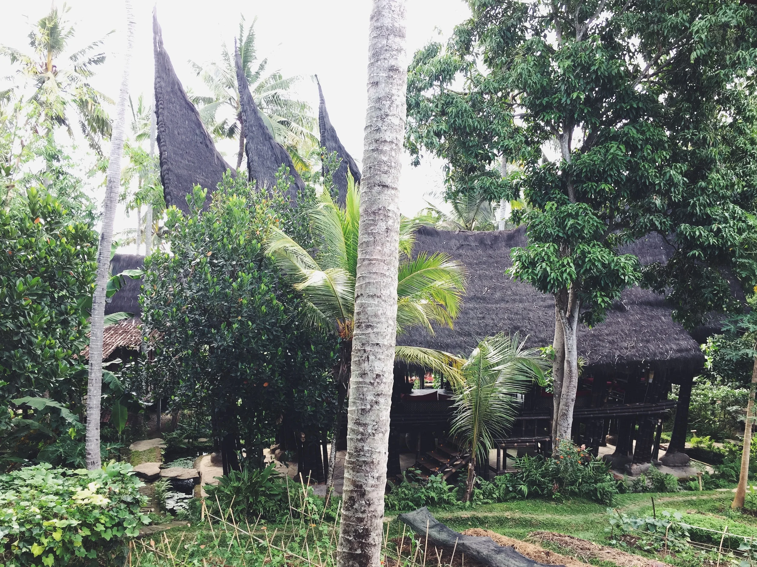 While in Ubud we stayed at Bambu Hinda, an eco-resort made of bamboo structures and old Javanese bridal huts. The entire resort has views of rice paddies and serves some of the best food in Bali.