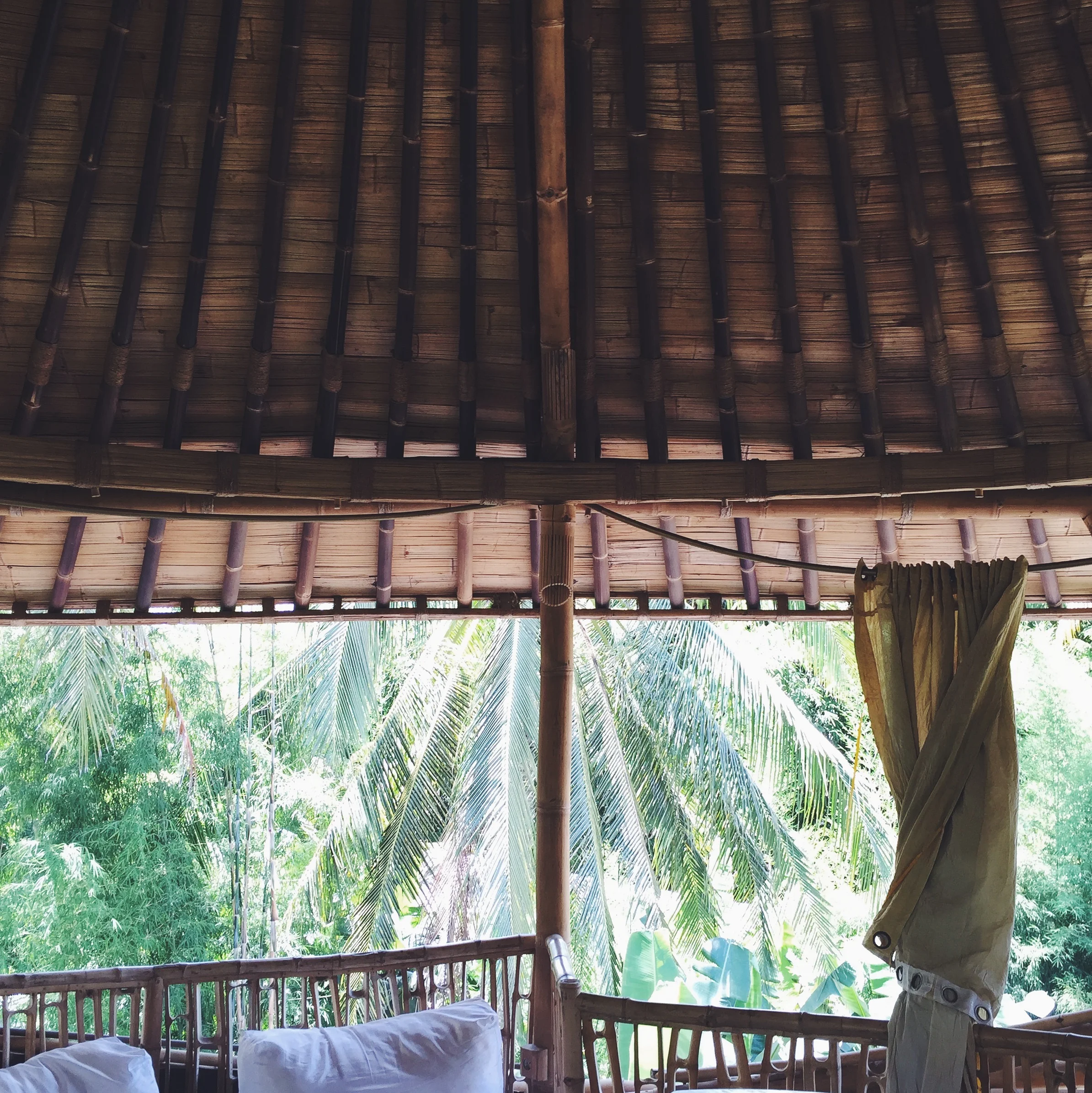 We visited The Green School , a school entirely off the grid, that creates the green leaders of the future.
